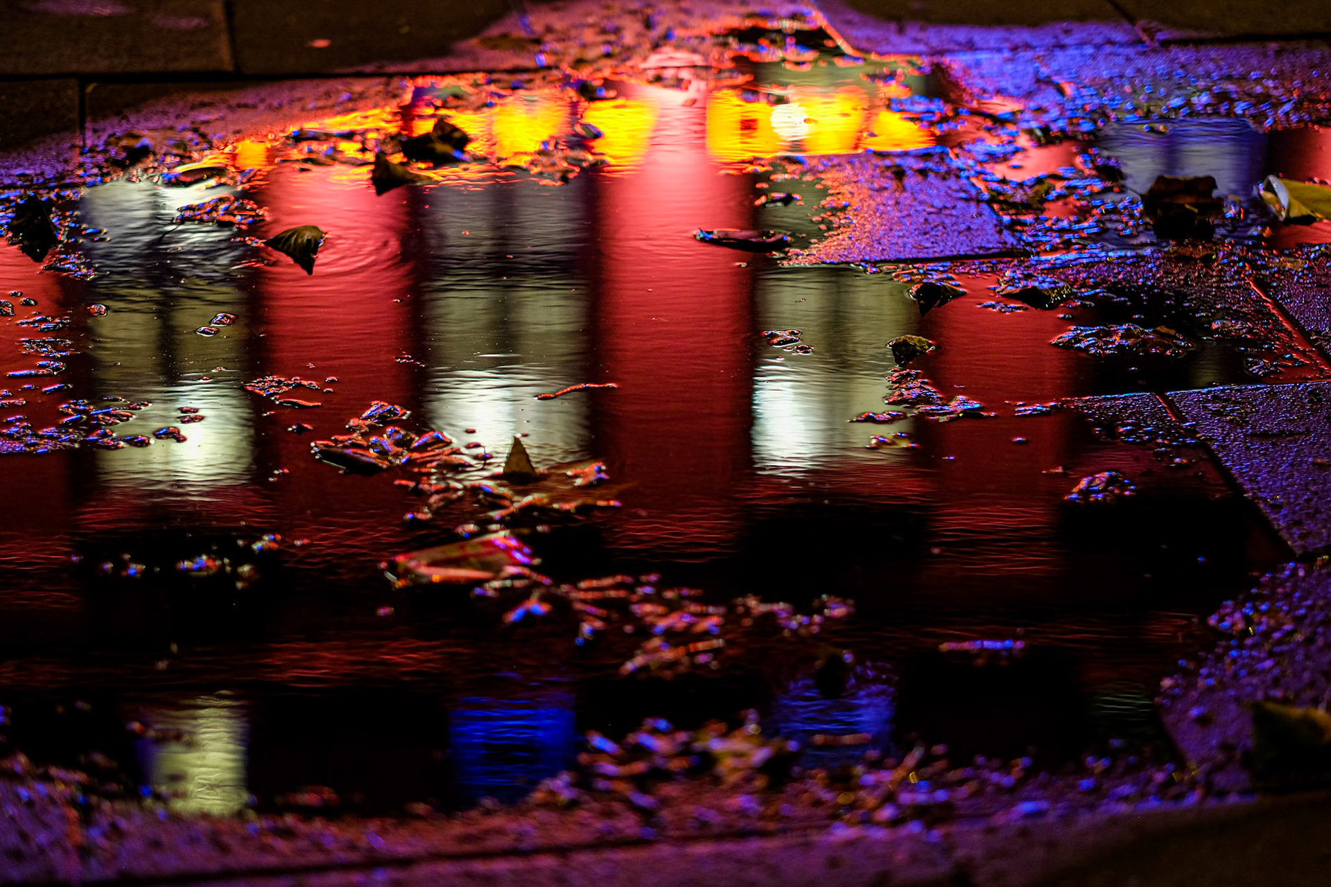 249/365 Neon reflections