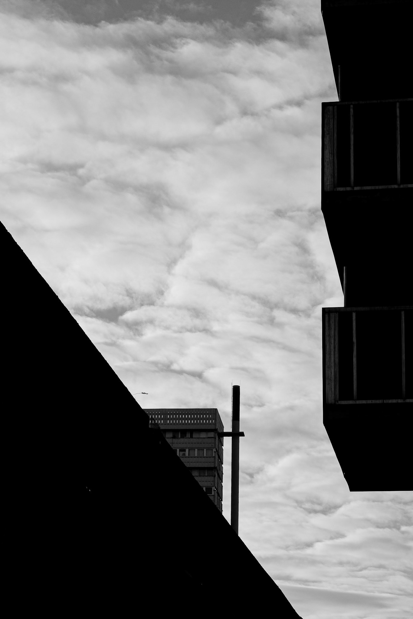 322/365 Morning shadows