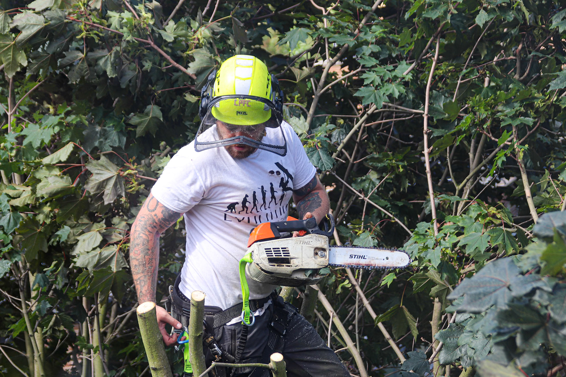 171/365 The unexpected view outside my (5th floor) window this morning