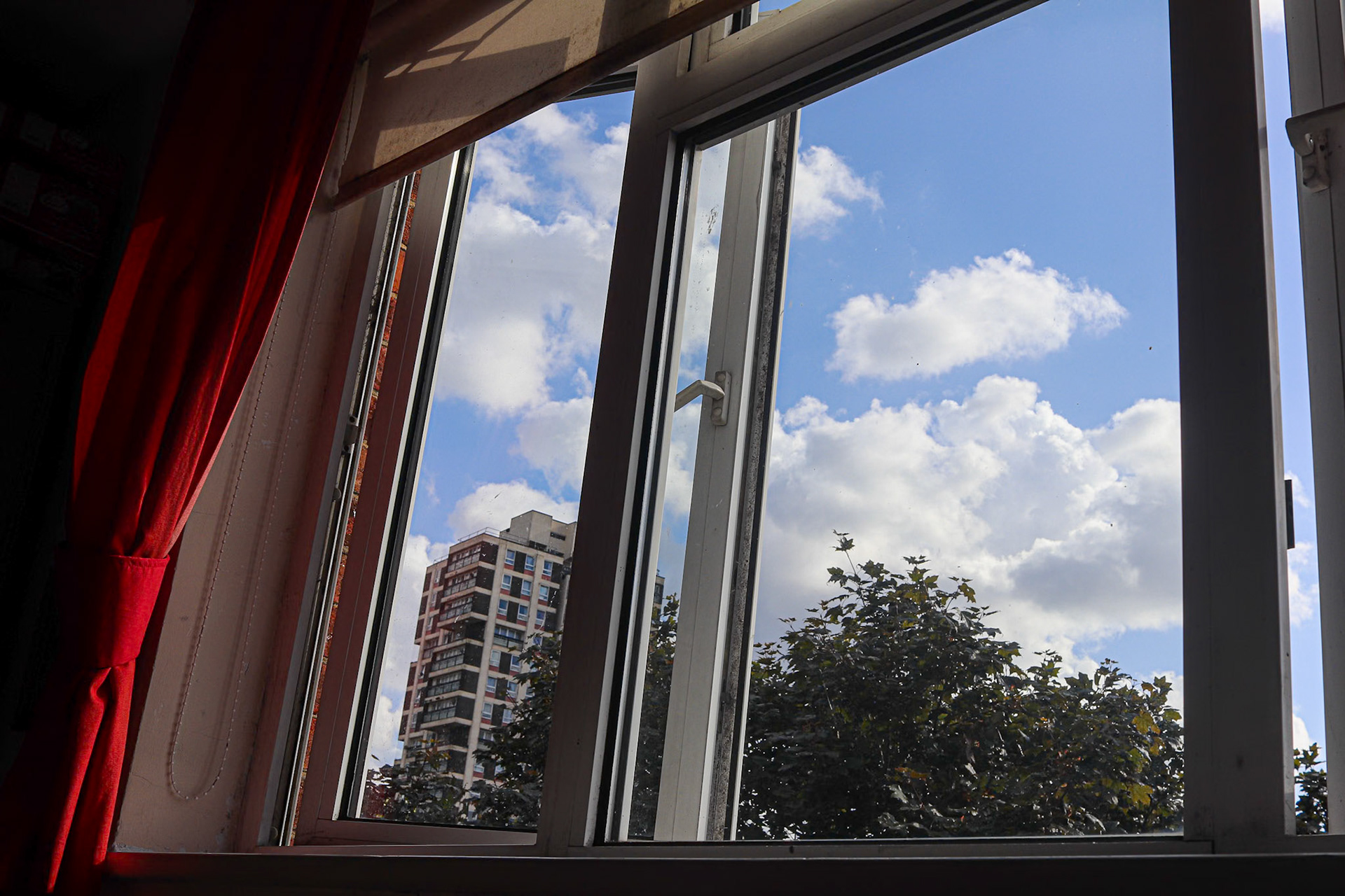 162/365 Sheltering from the sun