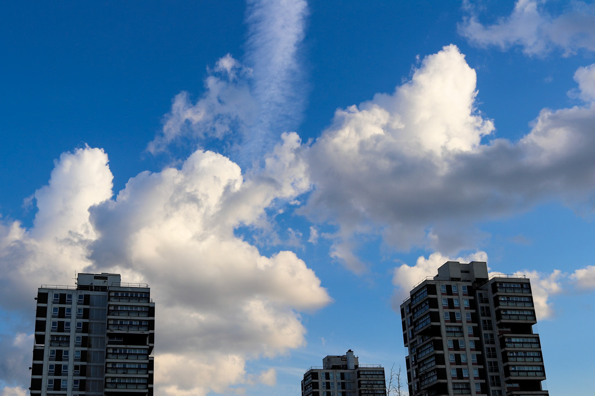 098/365 Up in the clouds