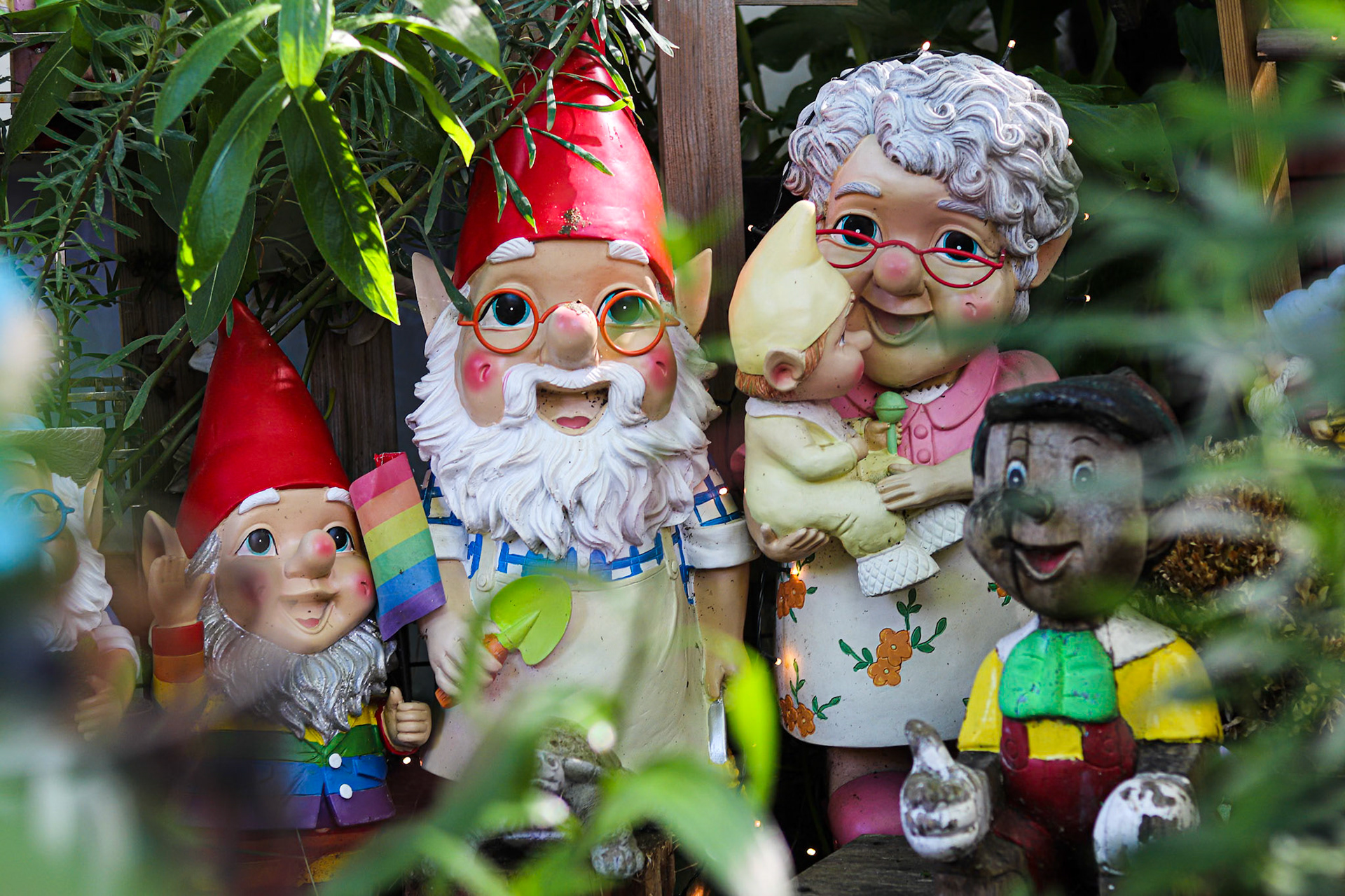 137/365 No place like gnome