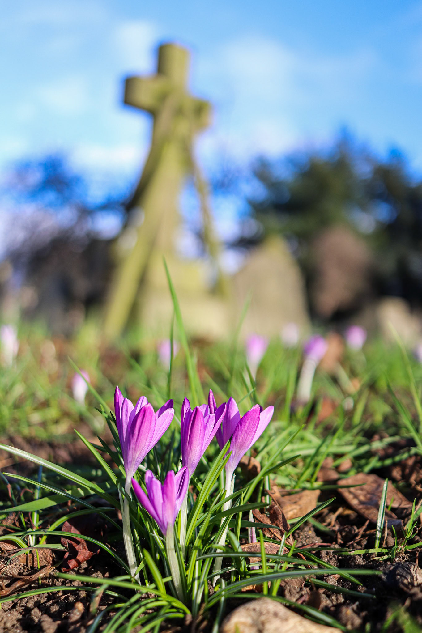 037/365 Brighter days ahead