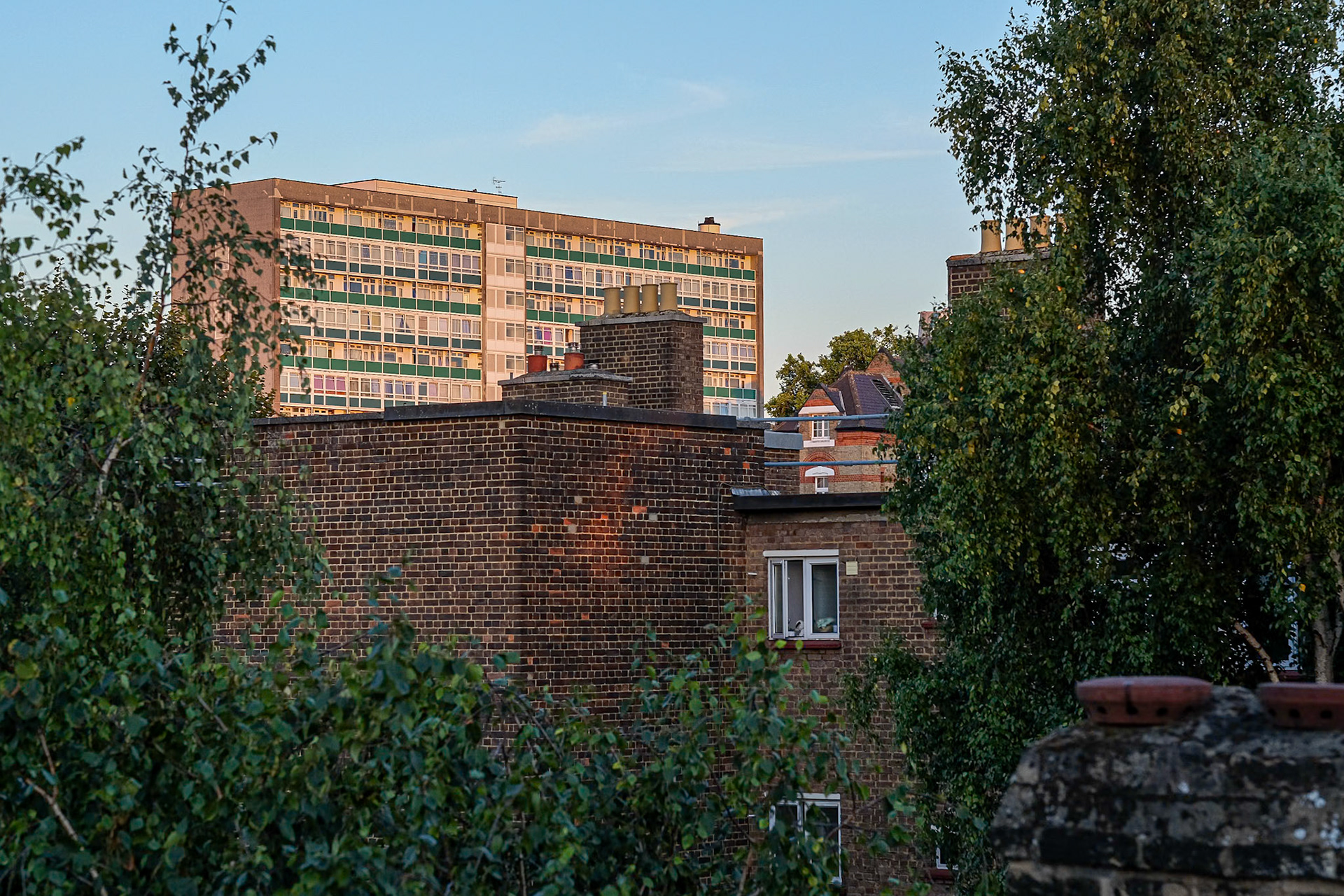 221/365 Camberwell rooftops