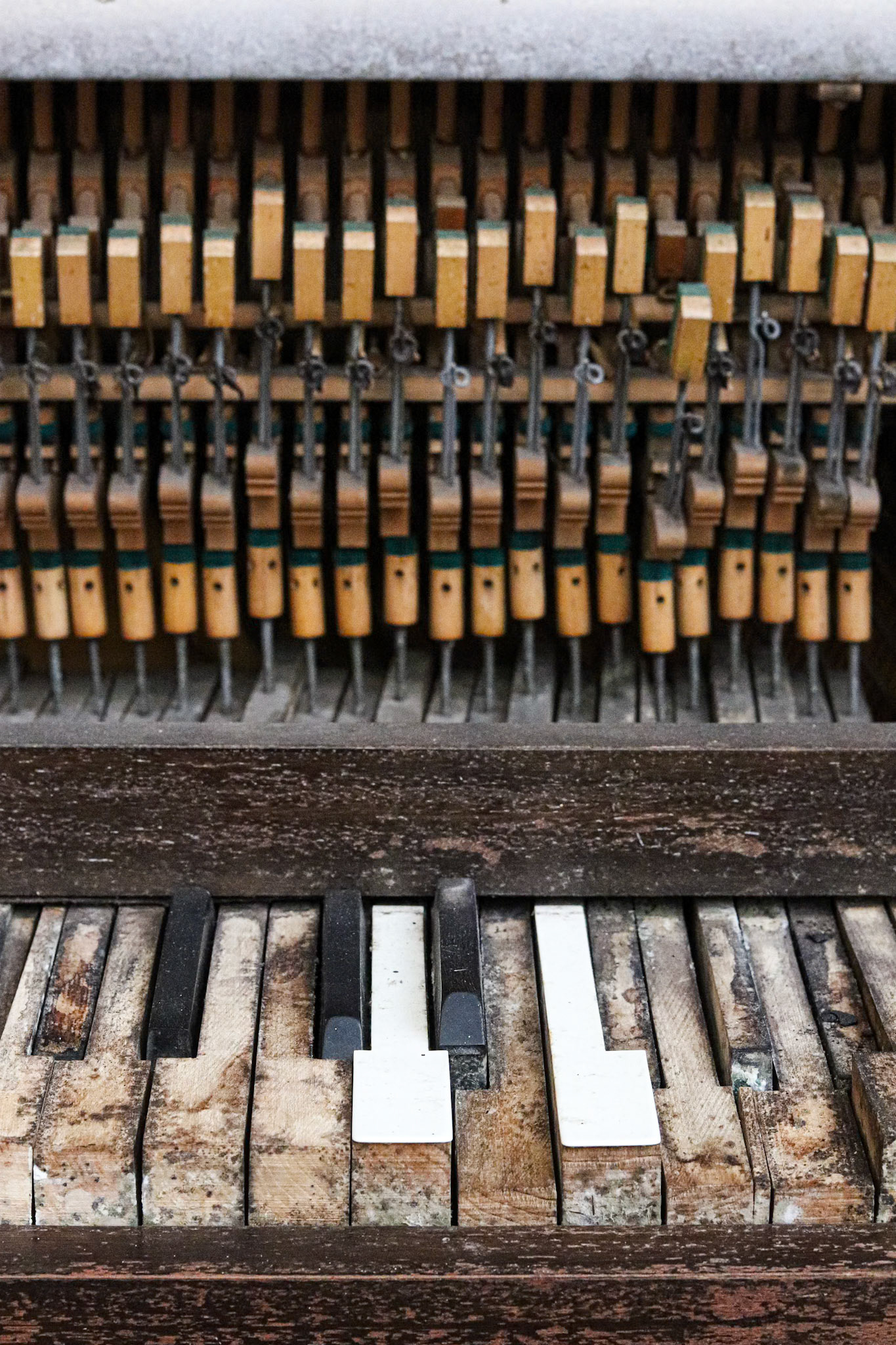 155/365 The old joanna