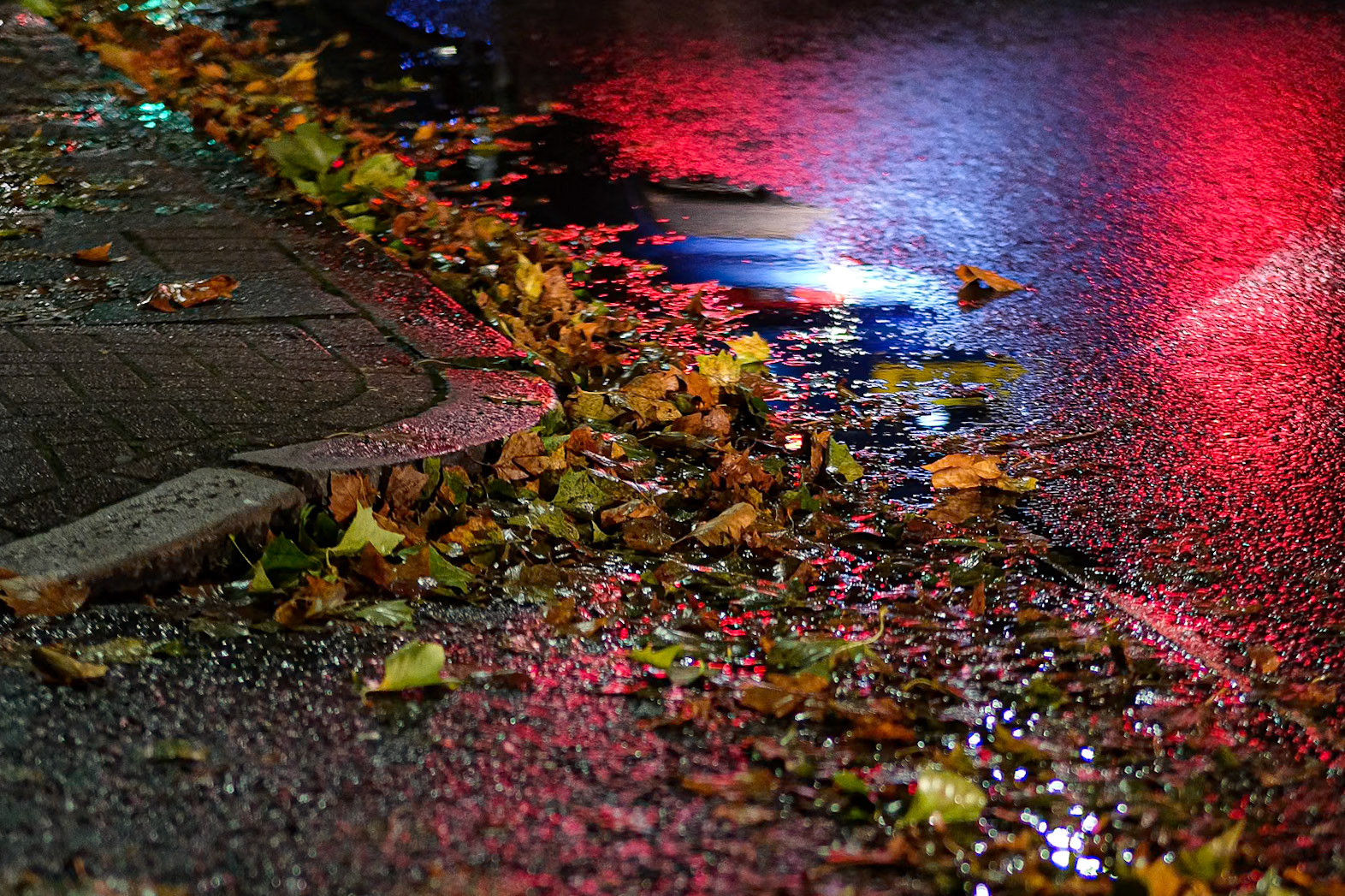 305/365 The nights are drawing in