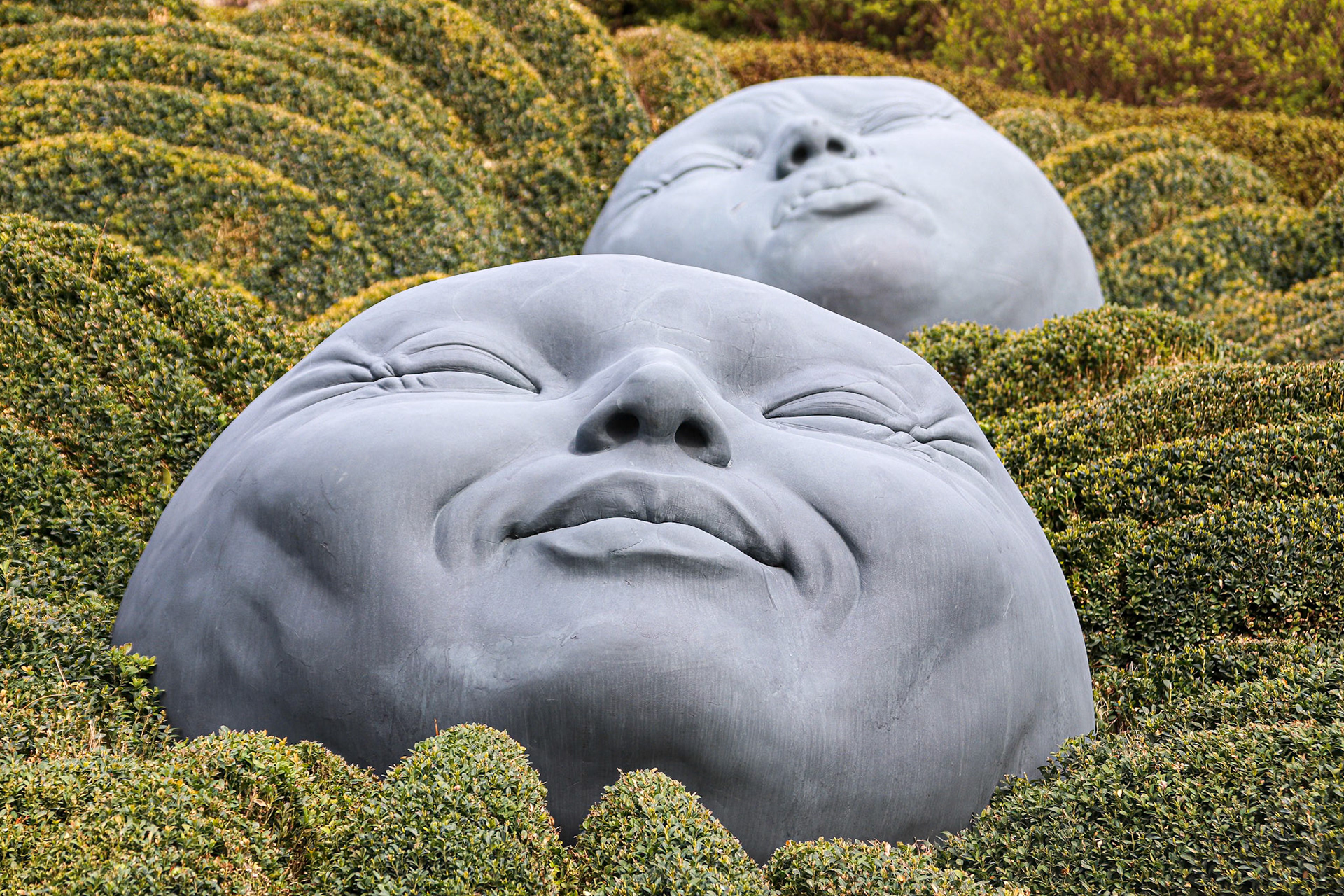 074/365 Les Jardins d'Etretat