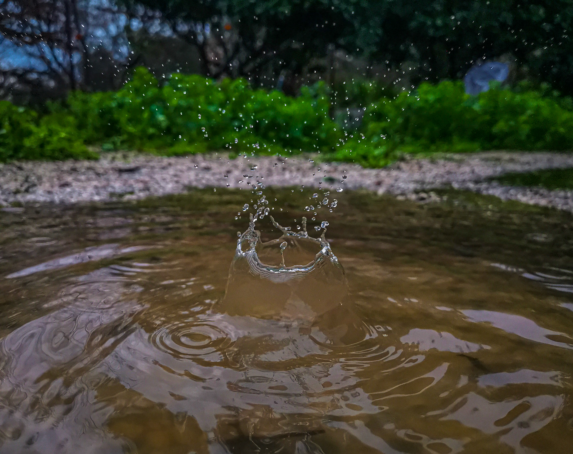 Taken with my Honor View 20