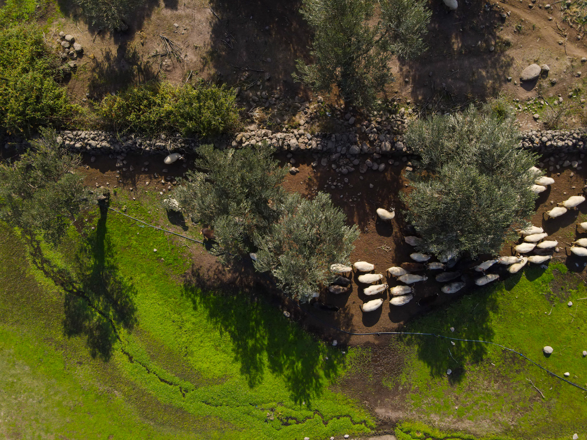 Taken with my DJI Mavic Air 2