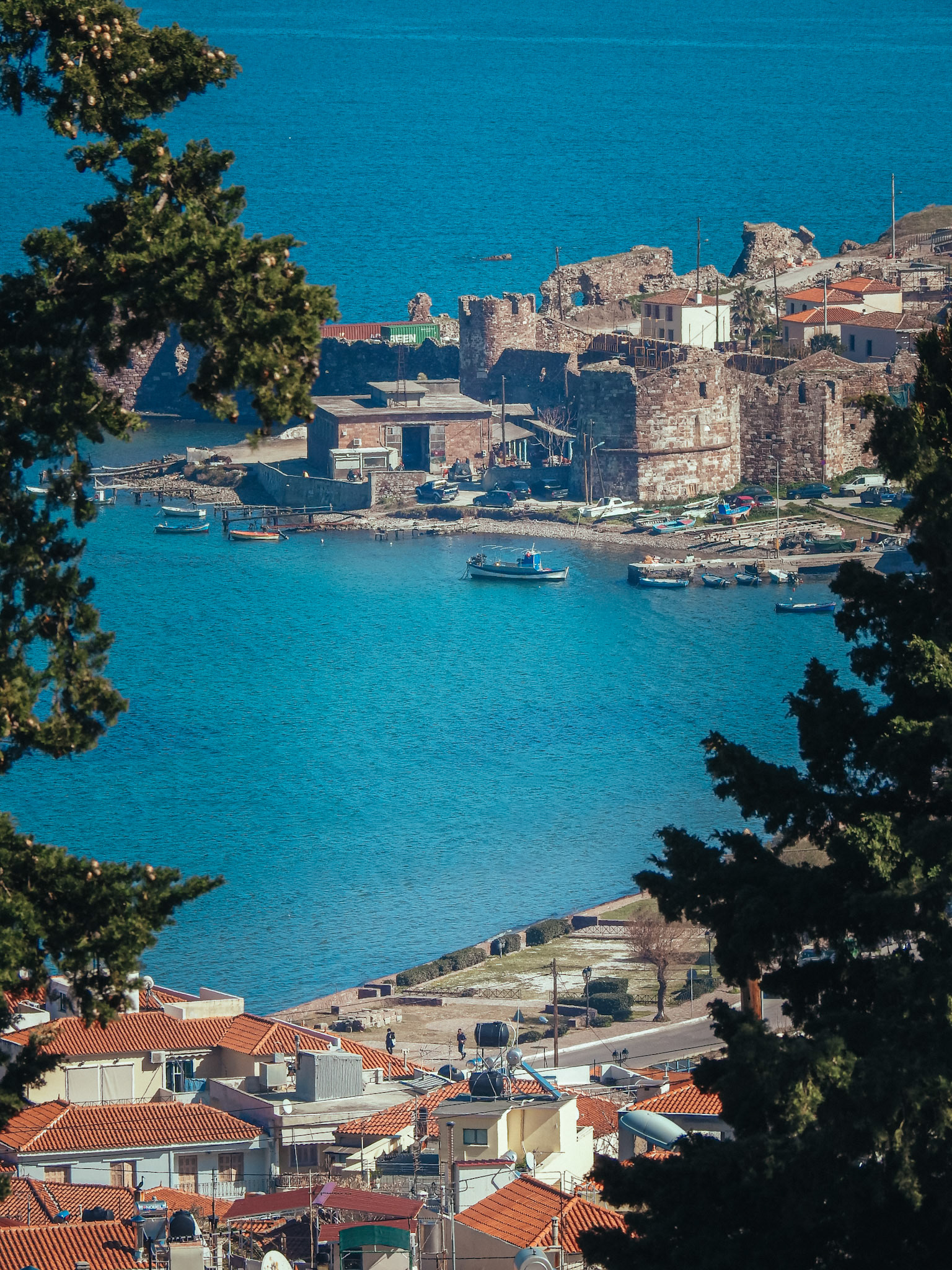 Taken with my Nikon Coolpix P900