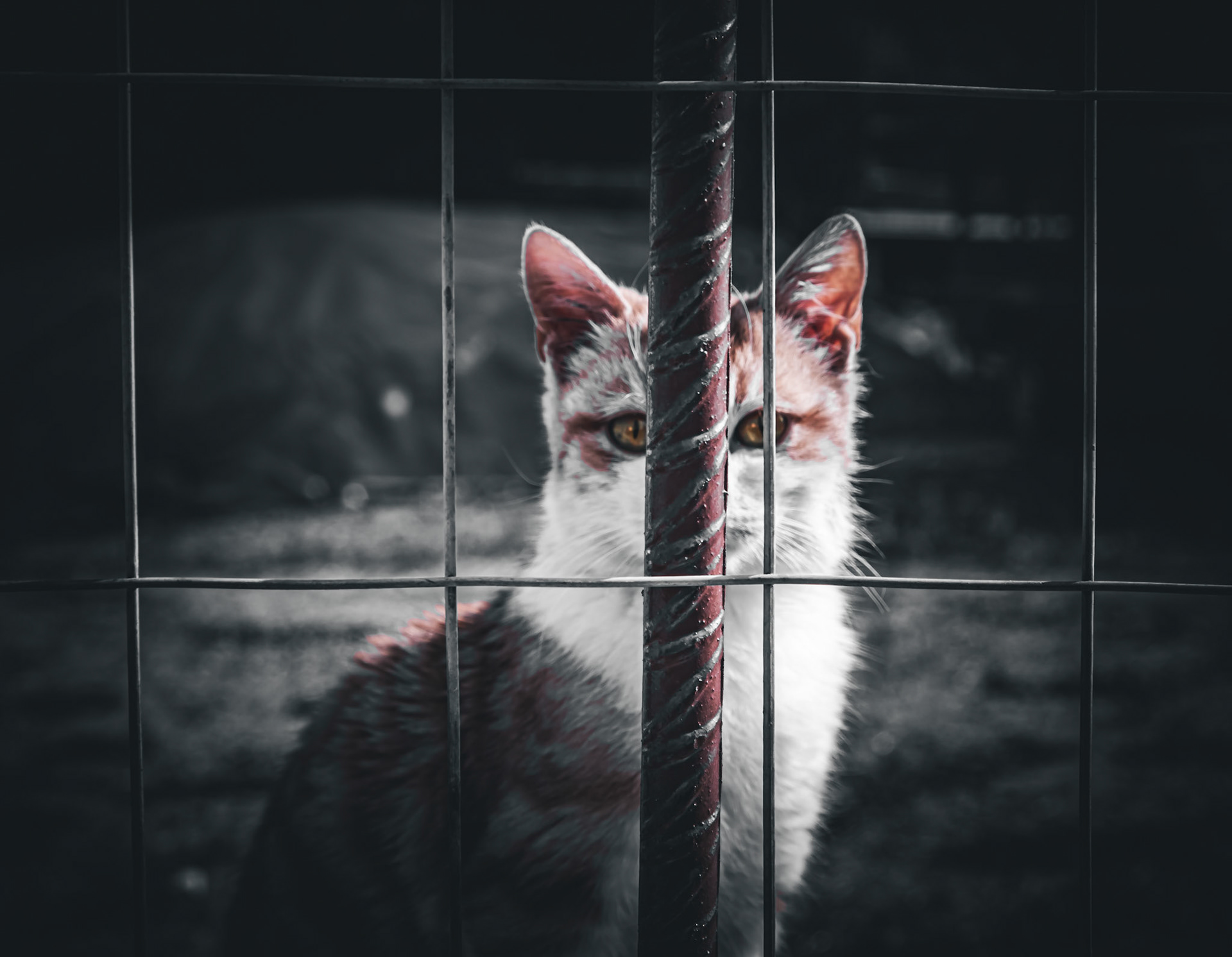 Taken with my Fujifilm X-T30 using the Fujinon XF18-55mmF2.8-4 R LM OIS