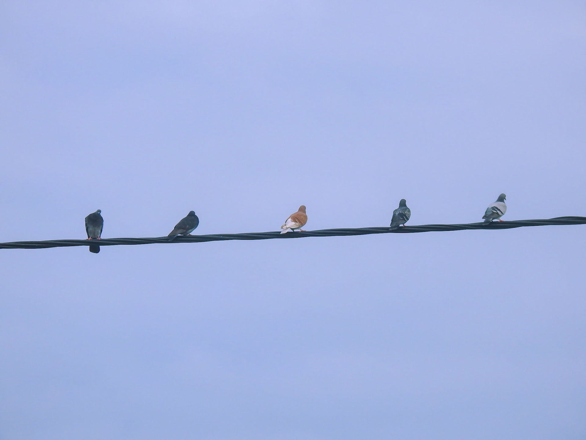 Taken with my Nikon Coolpix P900