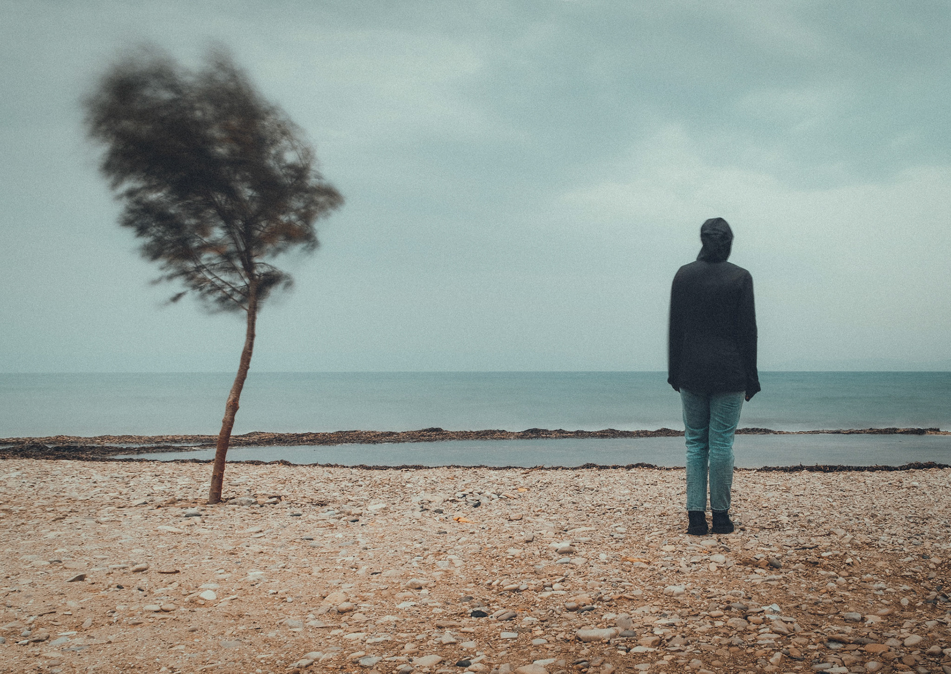 Taken with my Fujifilm X-T30 using the Fujinon XF18-55mmF2.8-4 R LM OIS