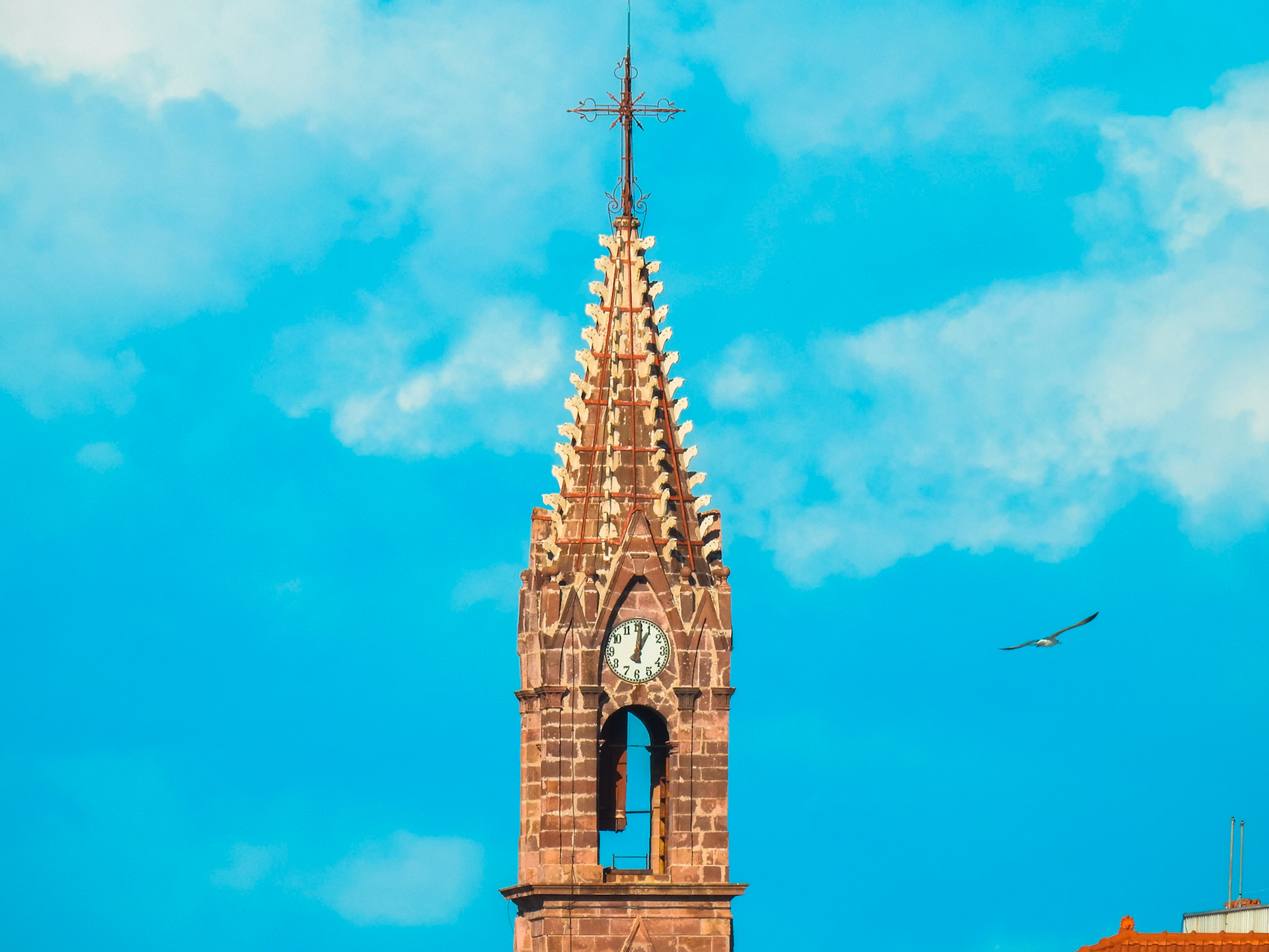 Taken with my Nikon Coolpix P900