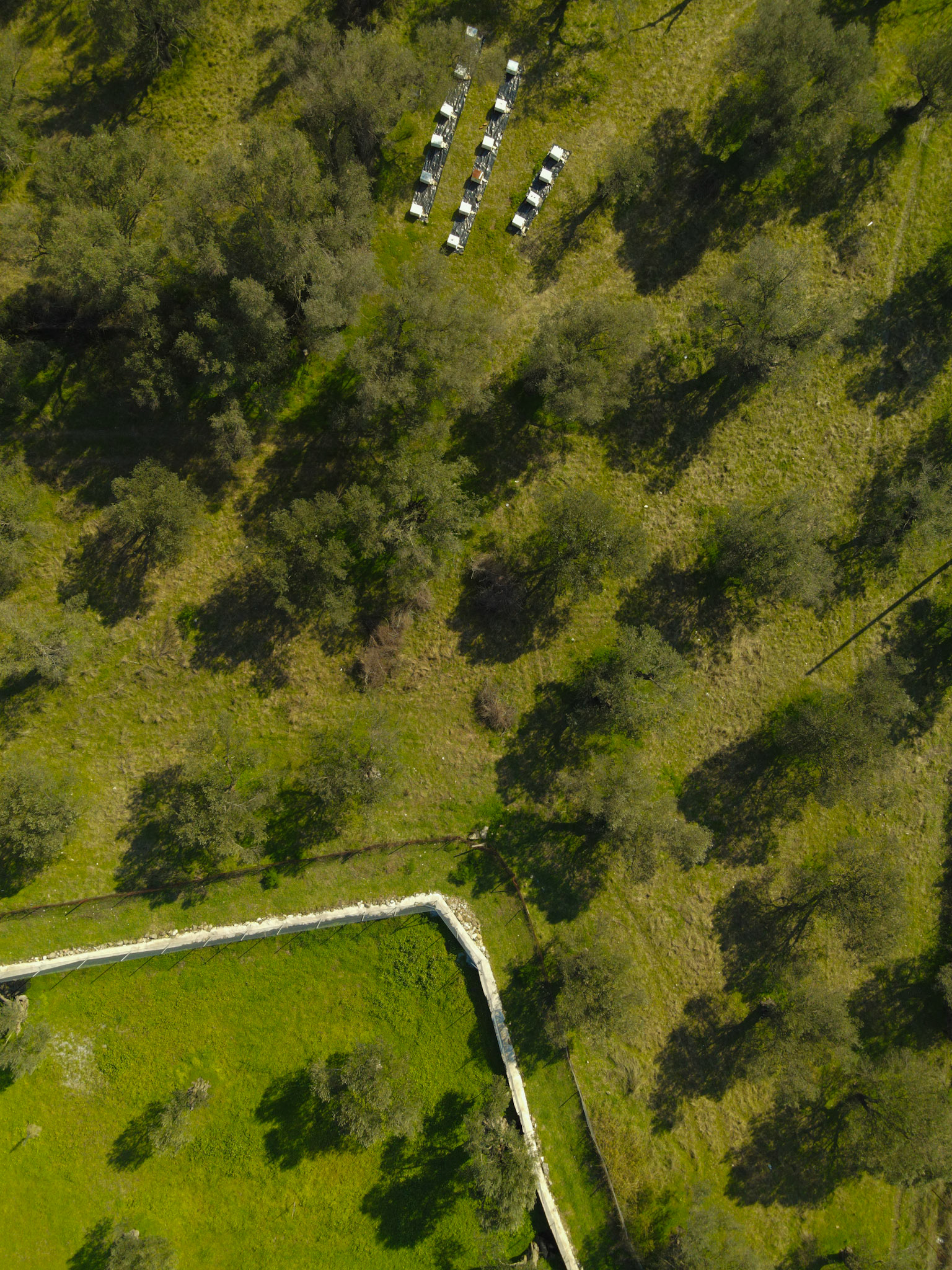 Taken with my DJI Mavic Air 2