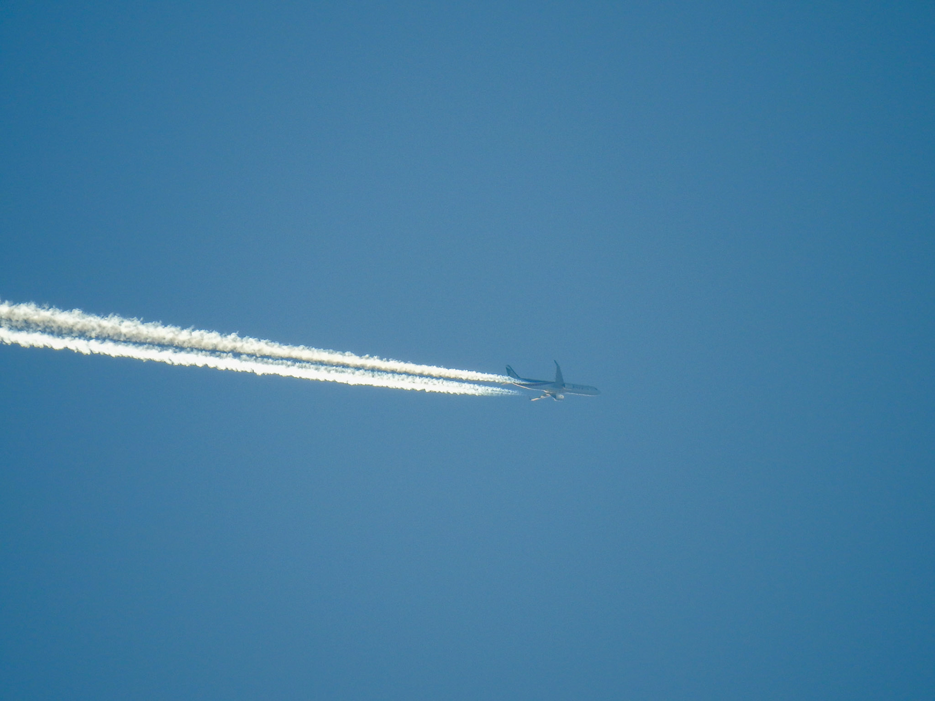 Taken with my Nikon Coolpix P900