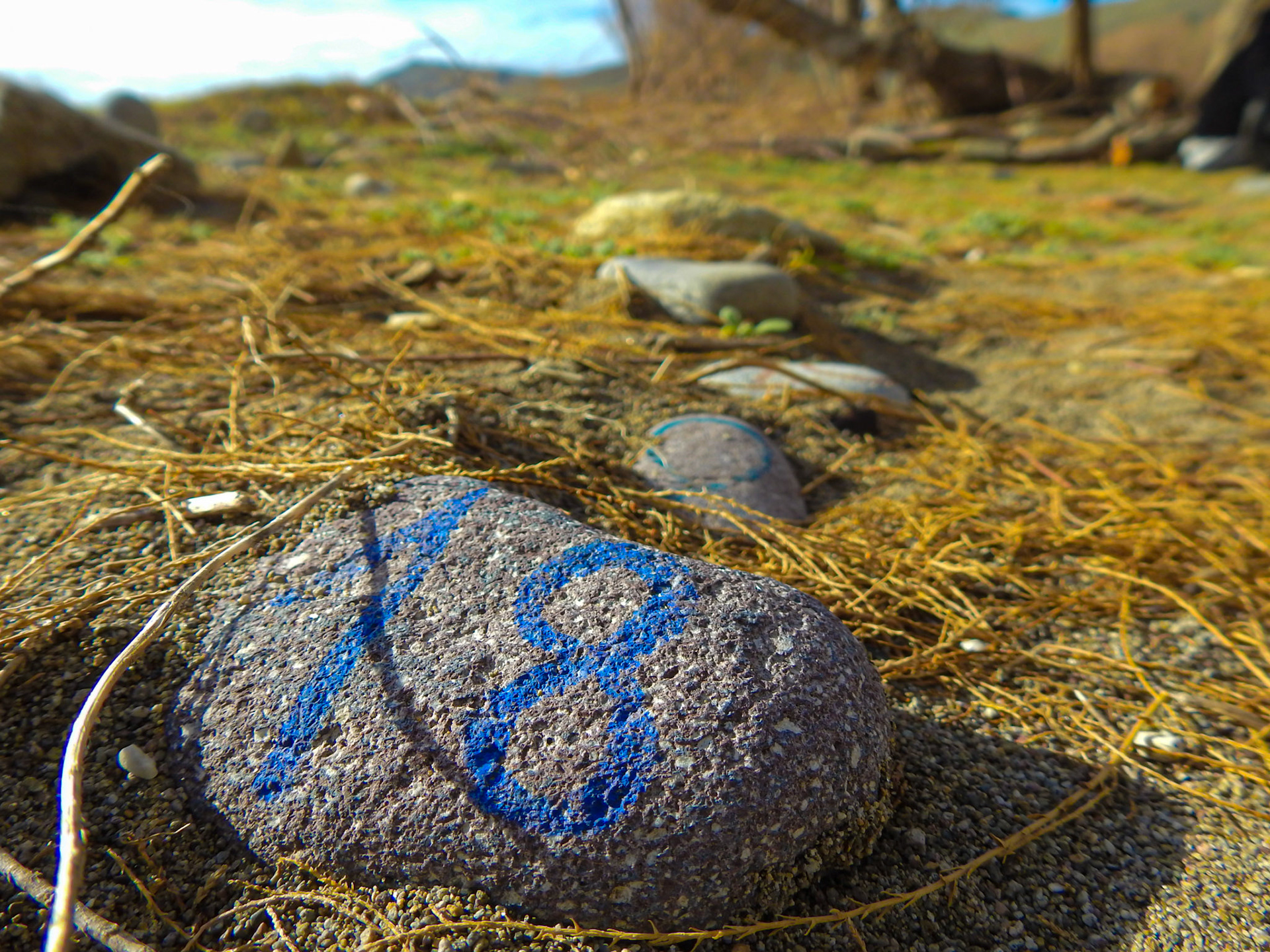 Taken with my Nikon Coolpix P900