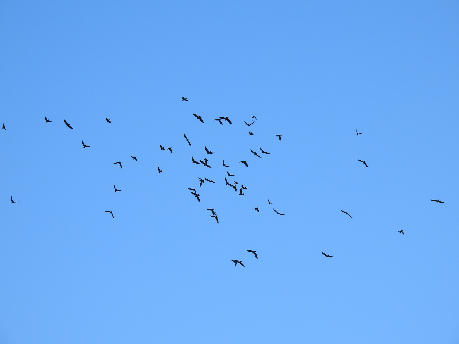 Taken with my Nikon Coolpix P900