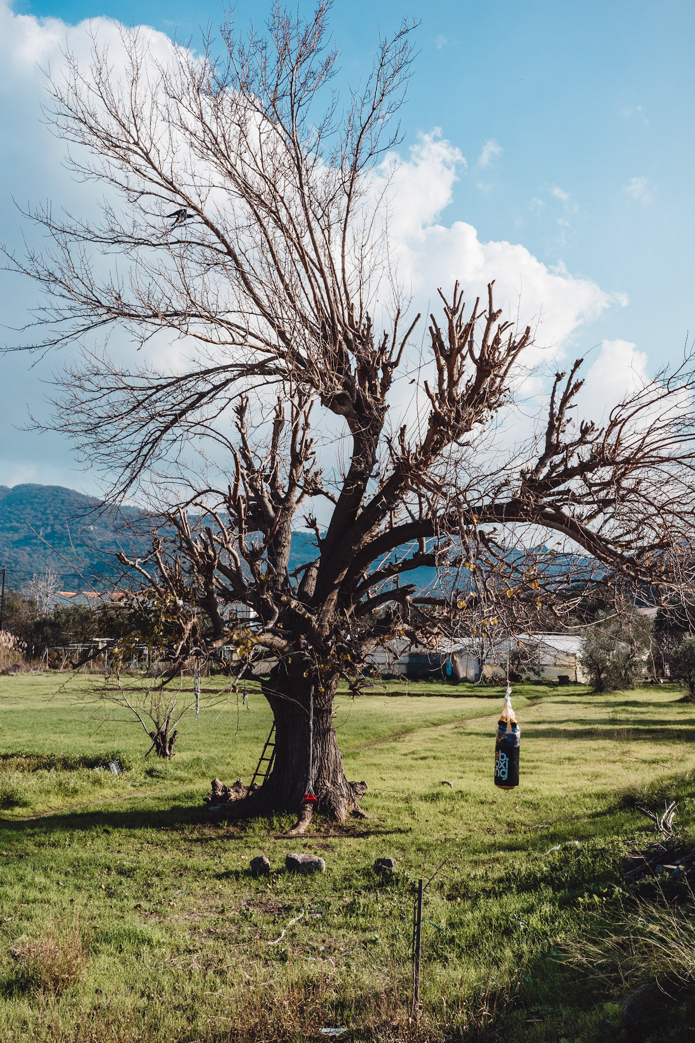 Taken with my Ricoh GR IIIx