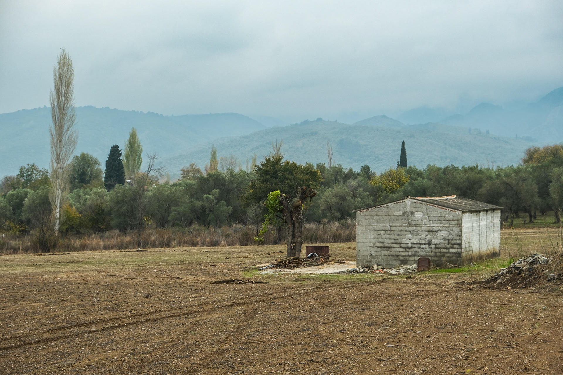 Taken with my Fujifilm X-T30 using the Fujinon XF18-55mmF2.8-4 R LM OIS