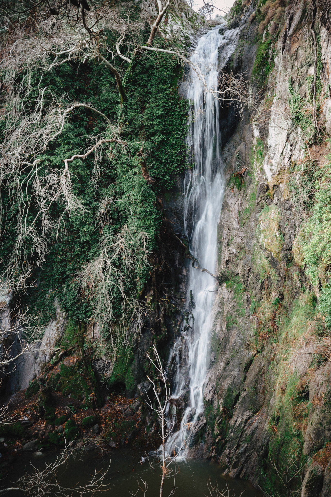 Taken with my Ricoh GR IIIx