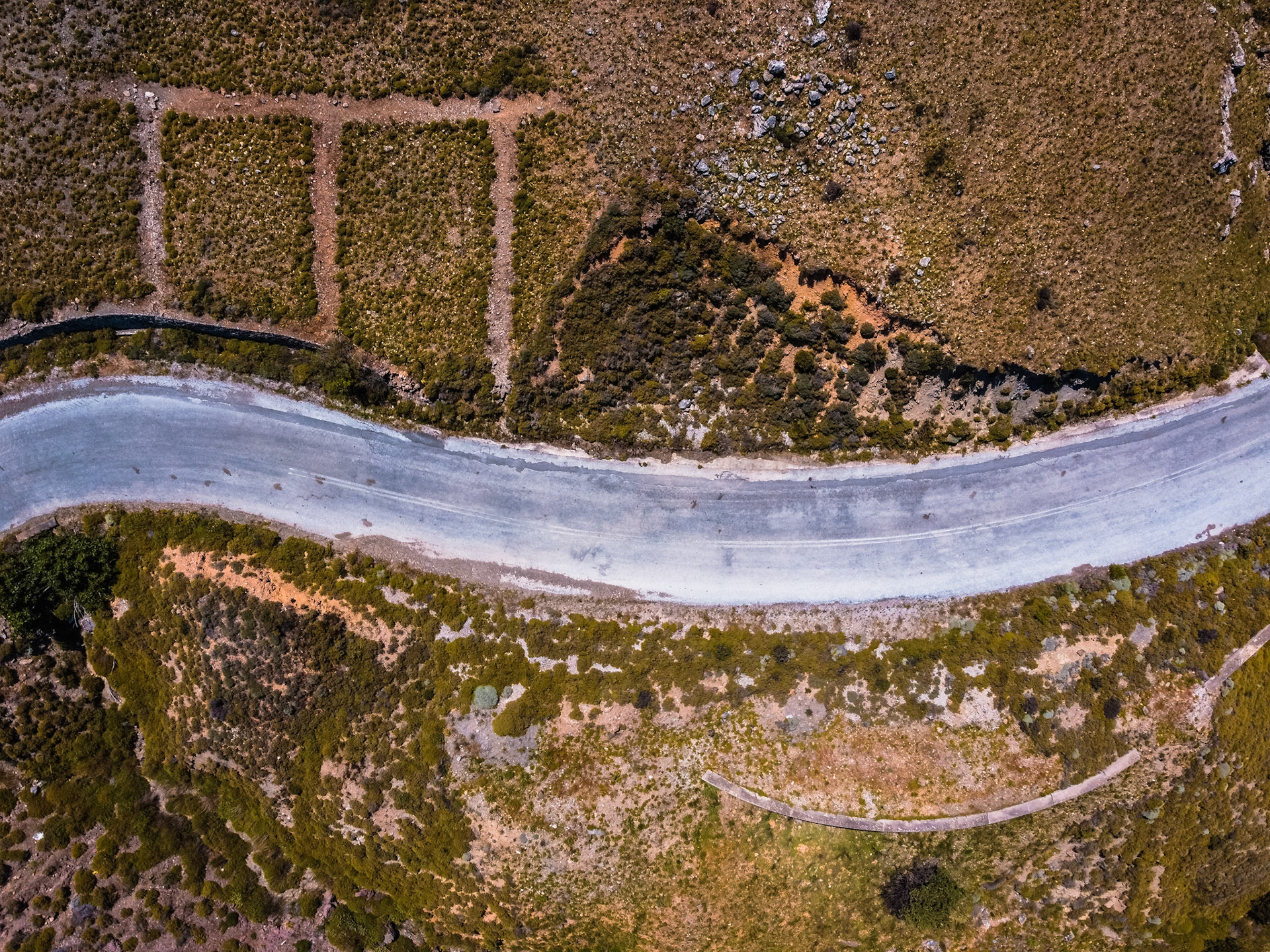 Taken with DJI Mavic Mini