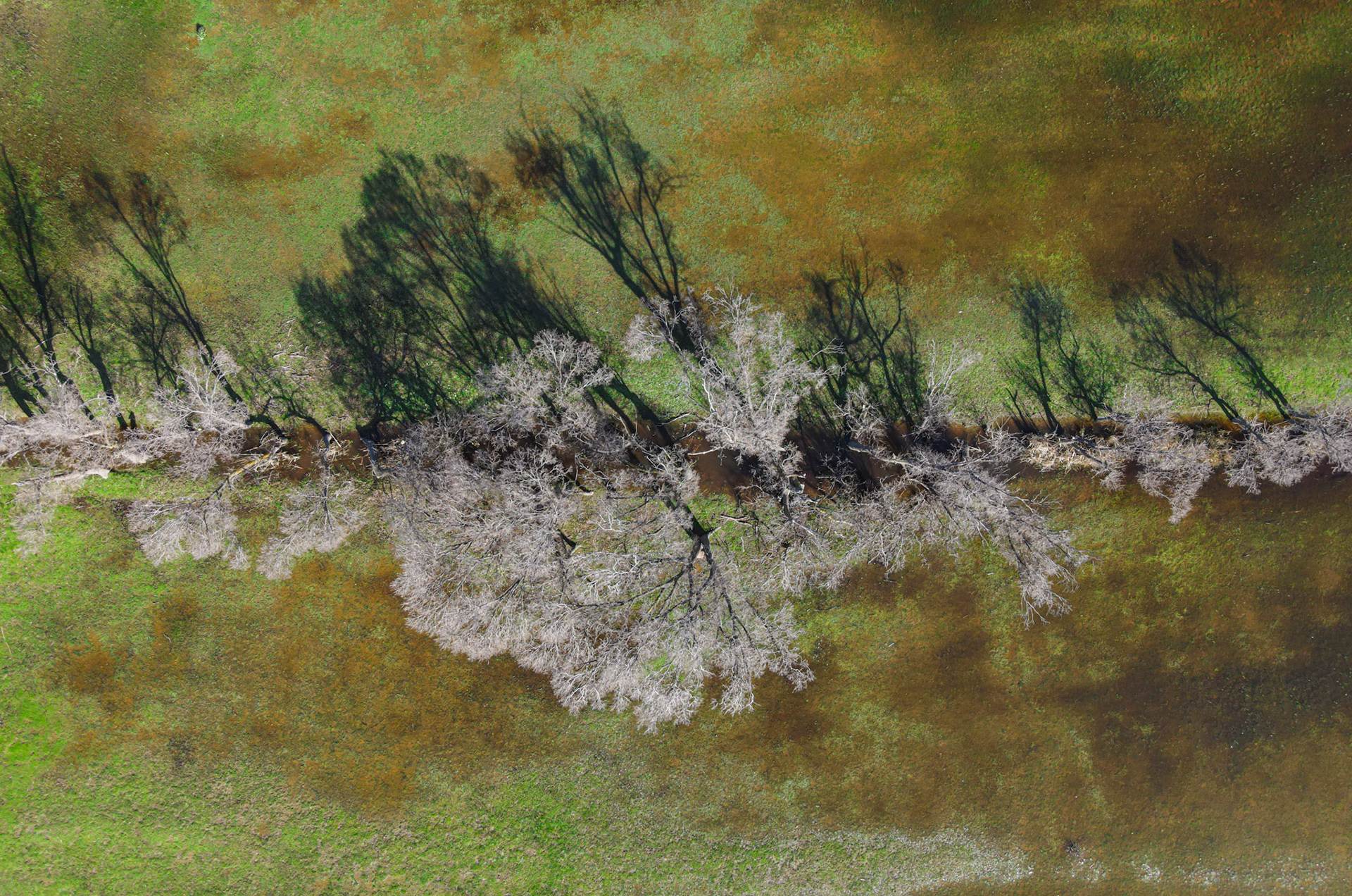 Taken with my DJI Mavic Air 2