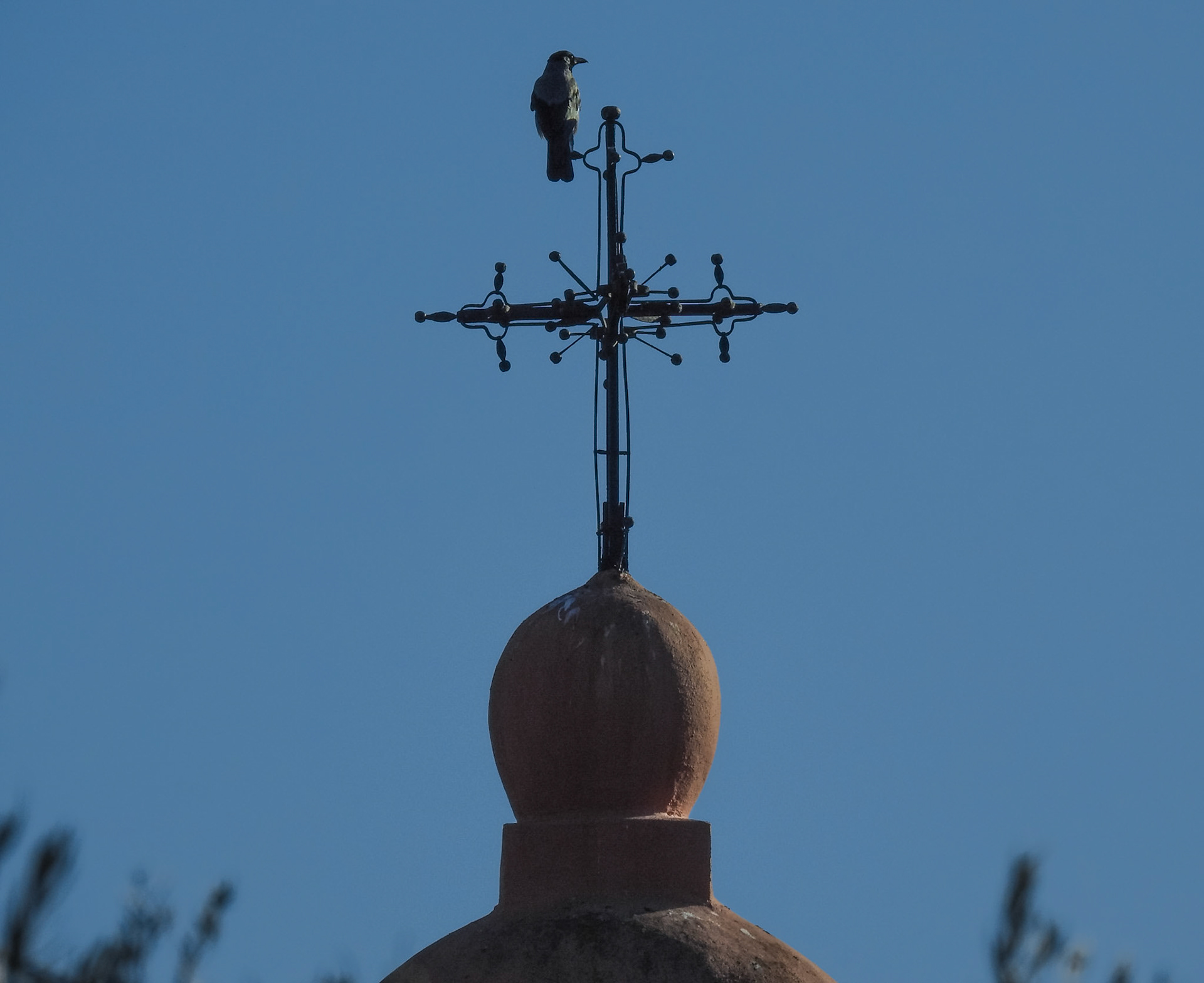 Taken with my Nikon Coolpix P900