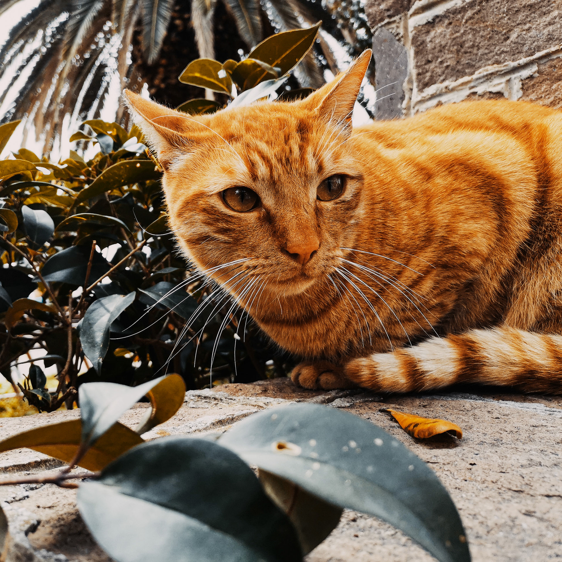 Taken with my Honor View 20