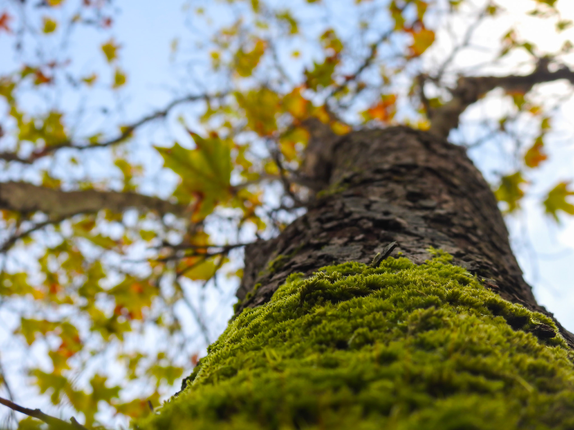 Taken with my Nikon Coolpix P900