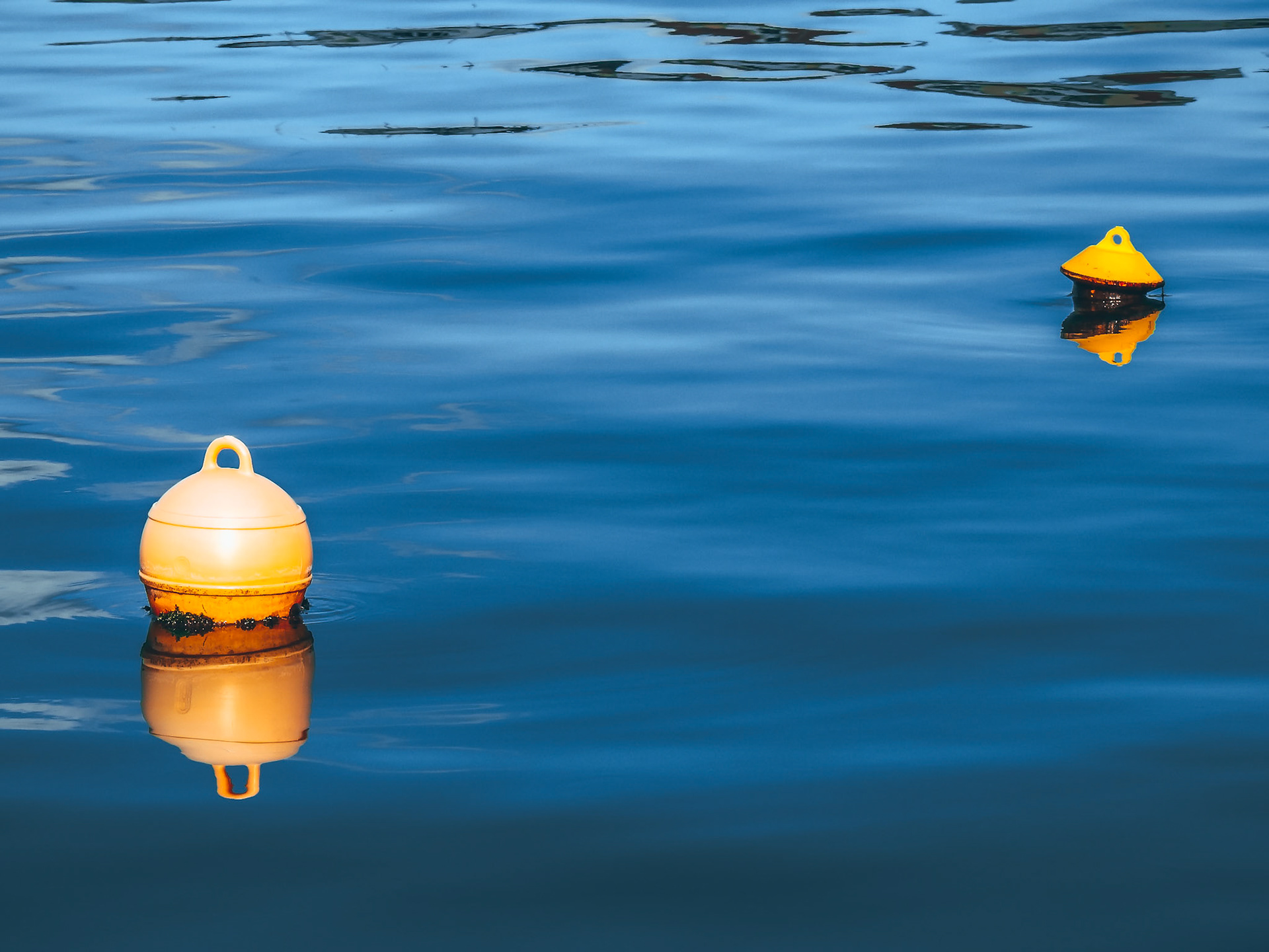 Taken with my Nikon Coolpix P900