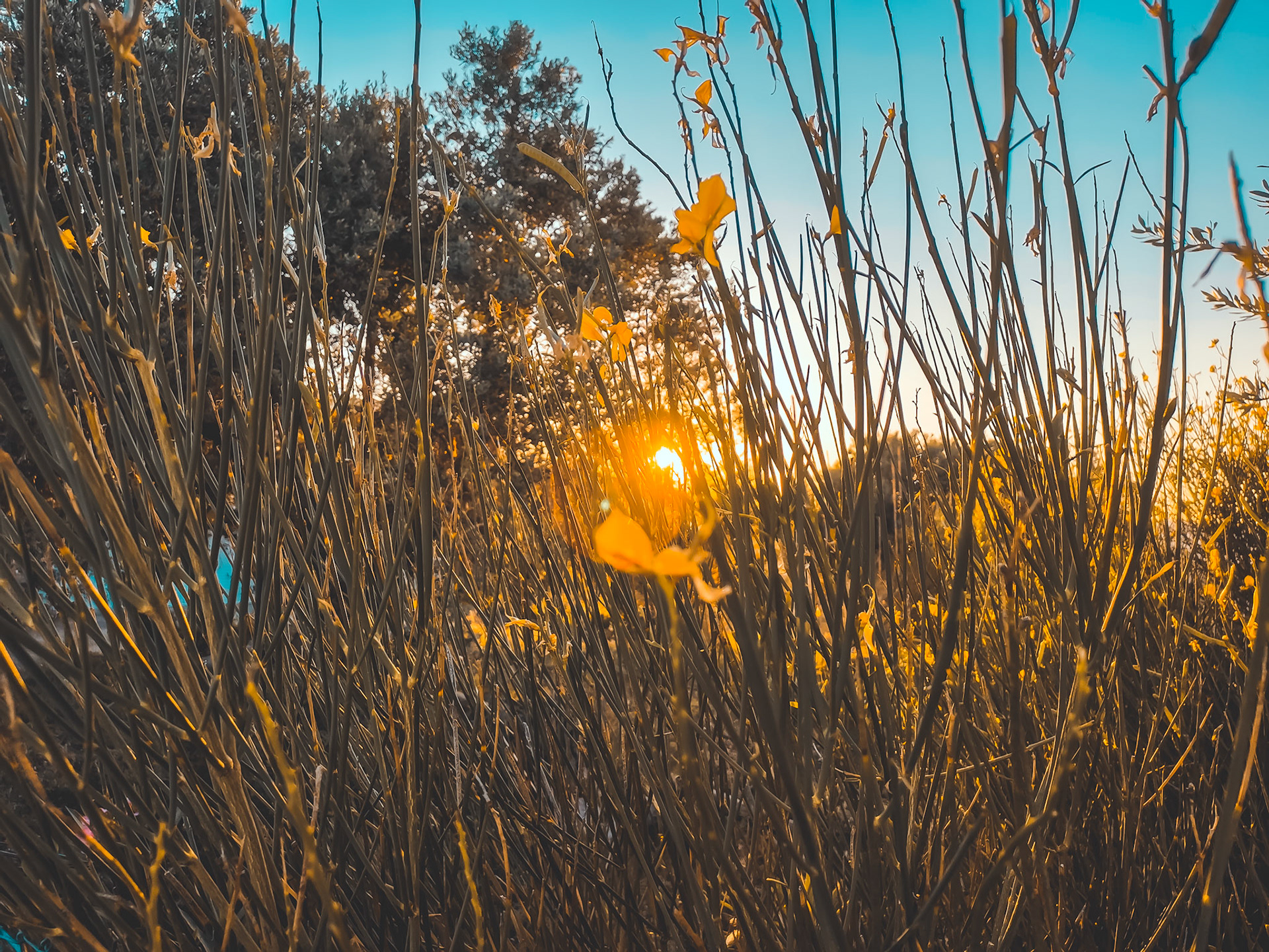 Taken with my Honor View 20