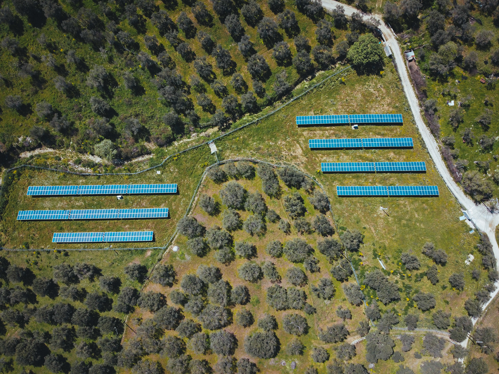 Taken with DJI Mavic Mini