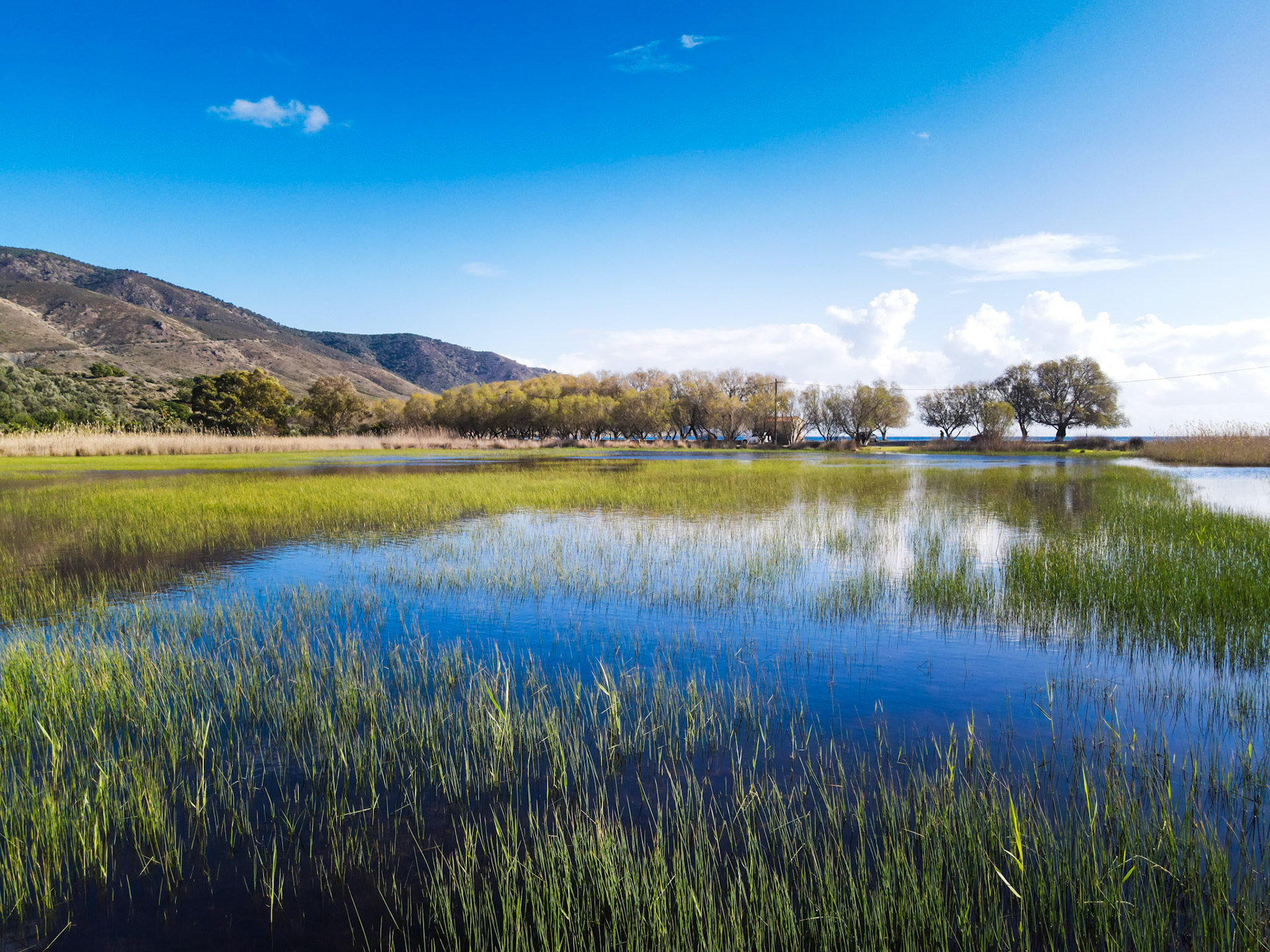 Taken with my DJI Mavic Air 2