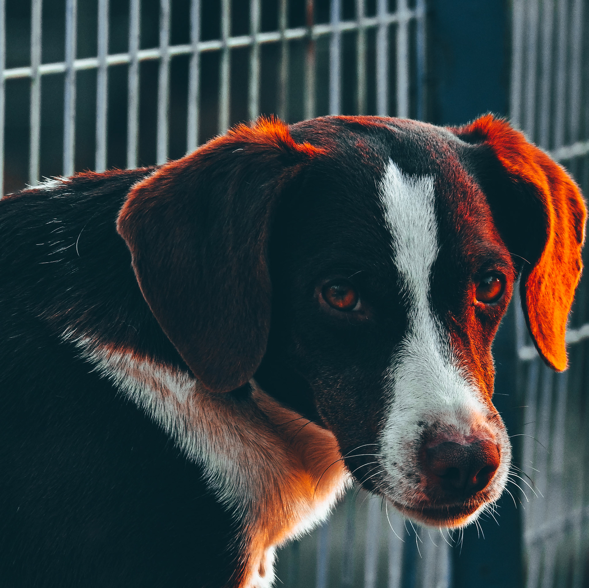 Taken with my Nikon Coolpix P900