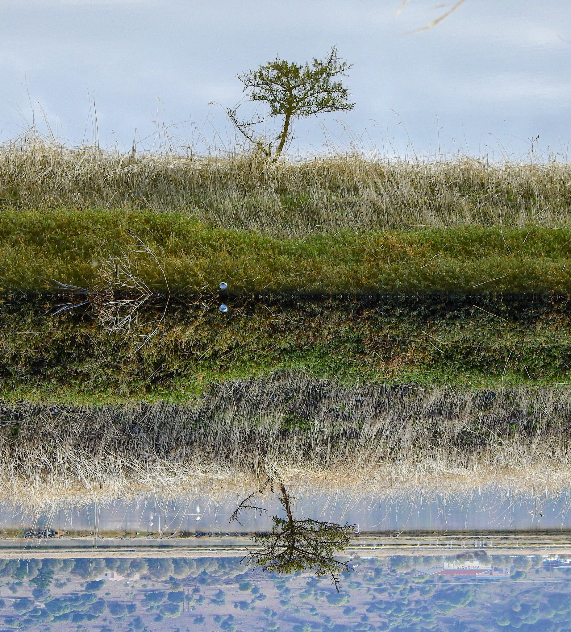 Taken with my Nikon Coolpix P900