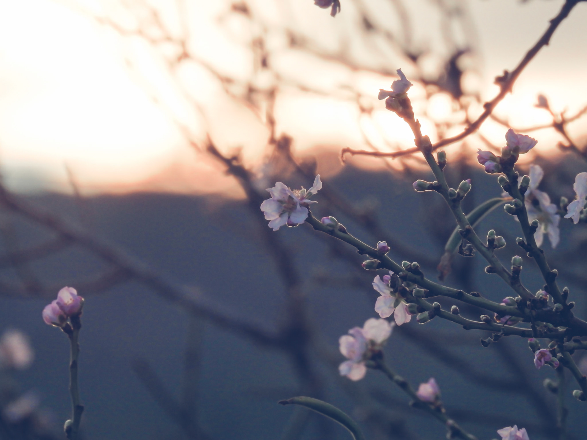 Taken with my Nikon Coolpix P900