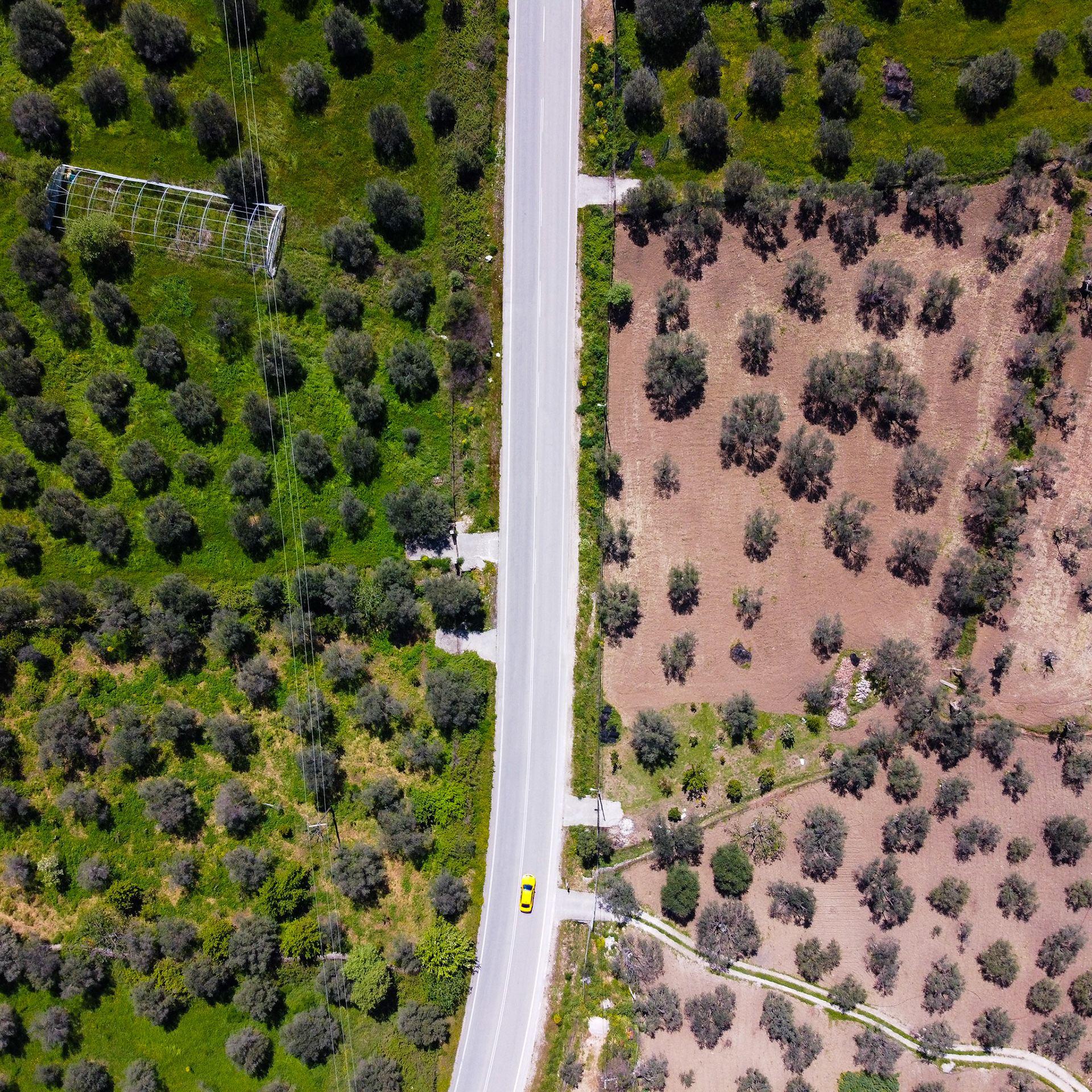 Taken with DJI Mavic Mini