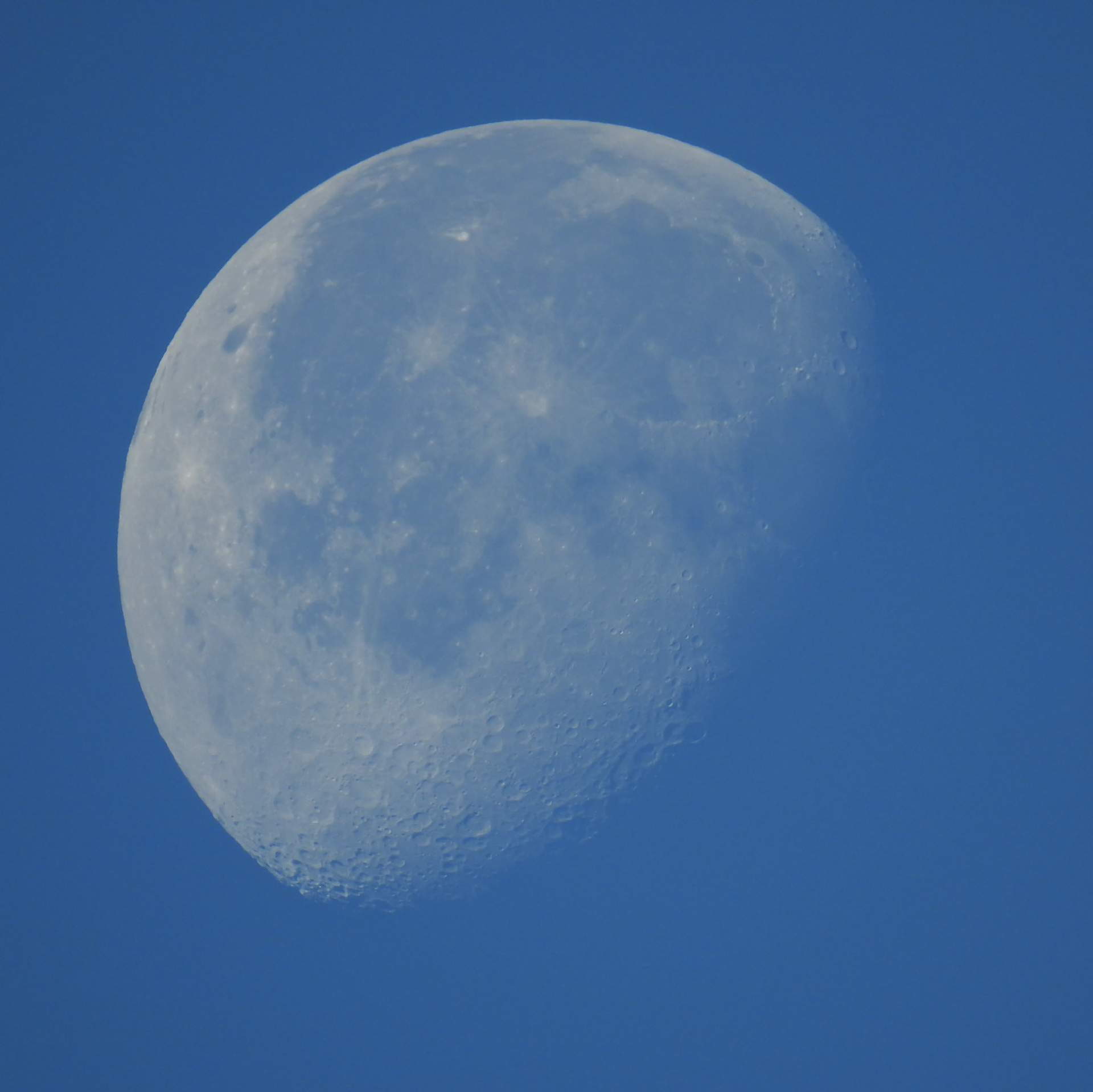 Taken with my Nikon Coolpix P900