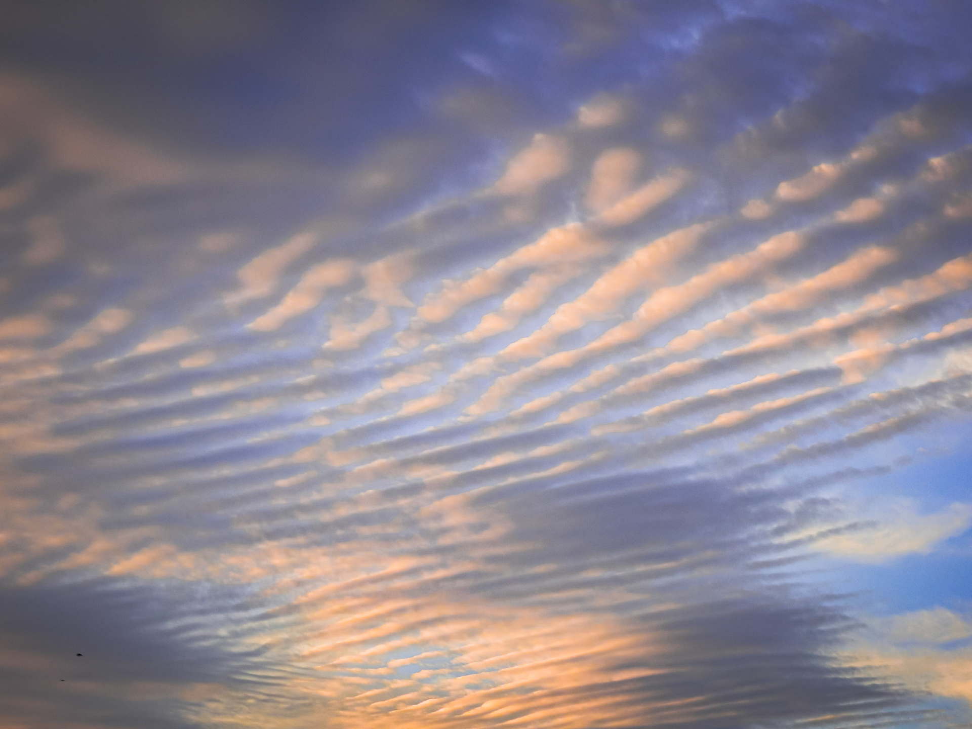 Taken with my Nikon Coolpix P900