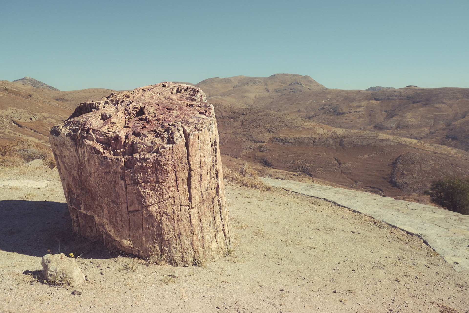 I see this petrified tree and I wonder how it was like here around 20 million years ago. Maybe full of trees with dinosaurs roaming the place!  Taken with my Fujifilm X-T30 using the Fujinon XF18-55mmF2.8-4 R LM OIS