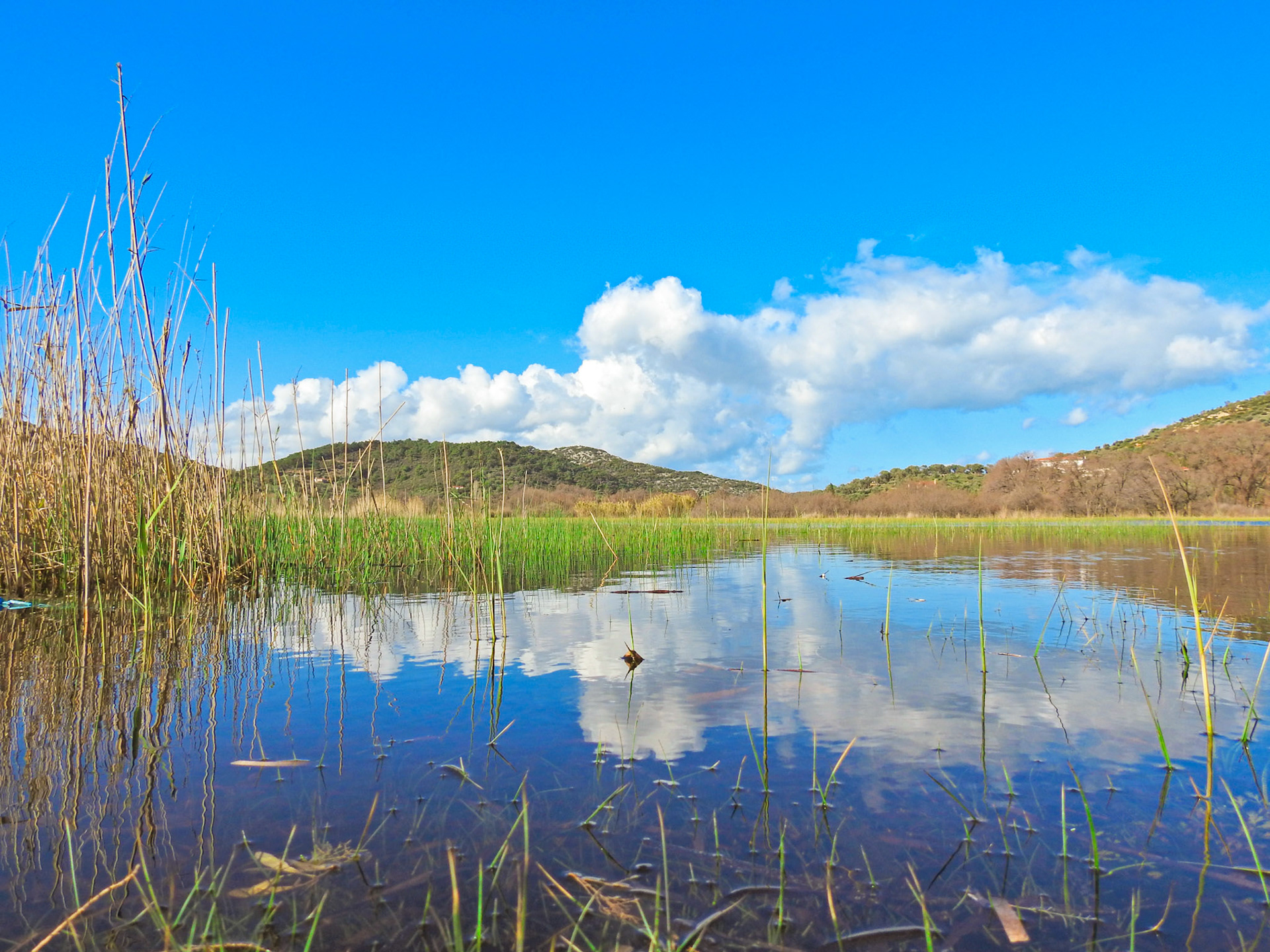 Taken with my Nikon Coolpix P900