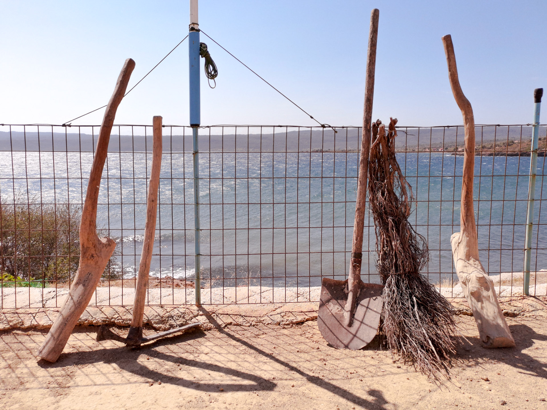 Taken with my Honor View 20