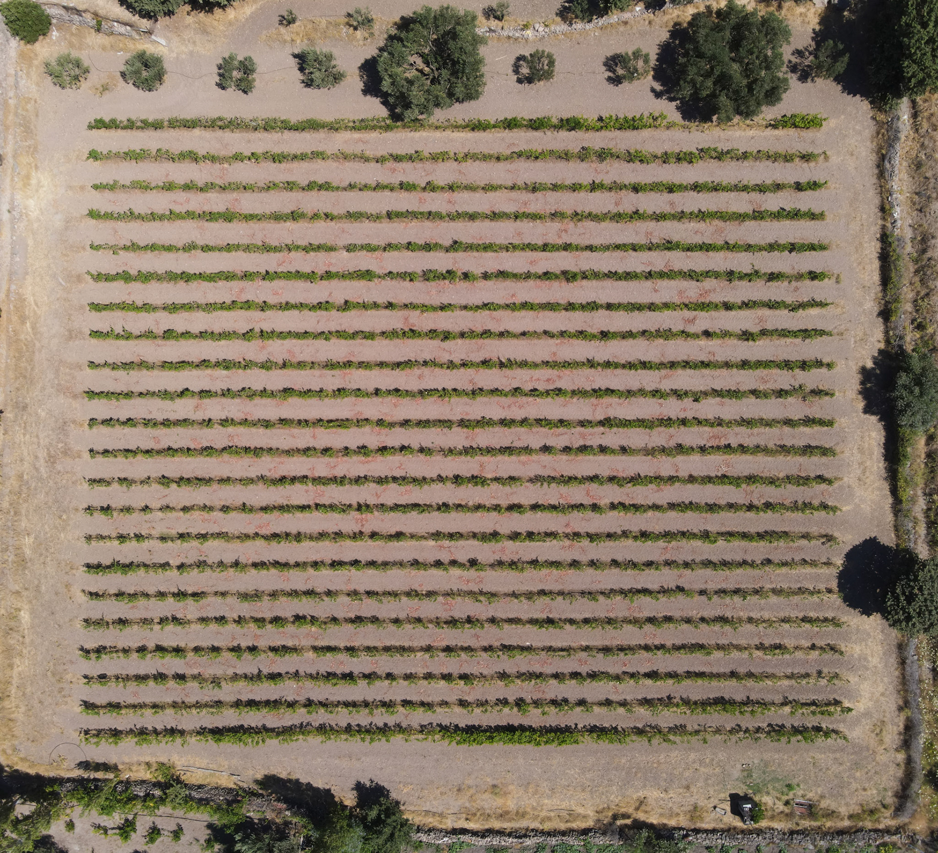 Taken with my DJI Mavic Air 2