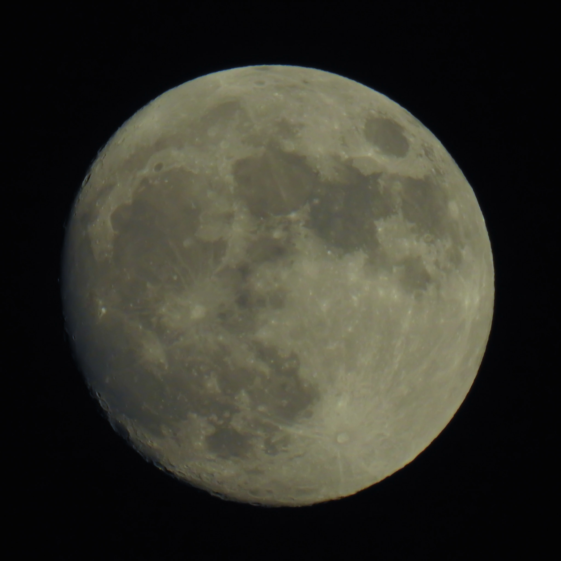 Taken with my Nikon Coolpix P900