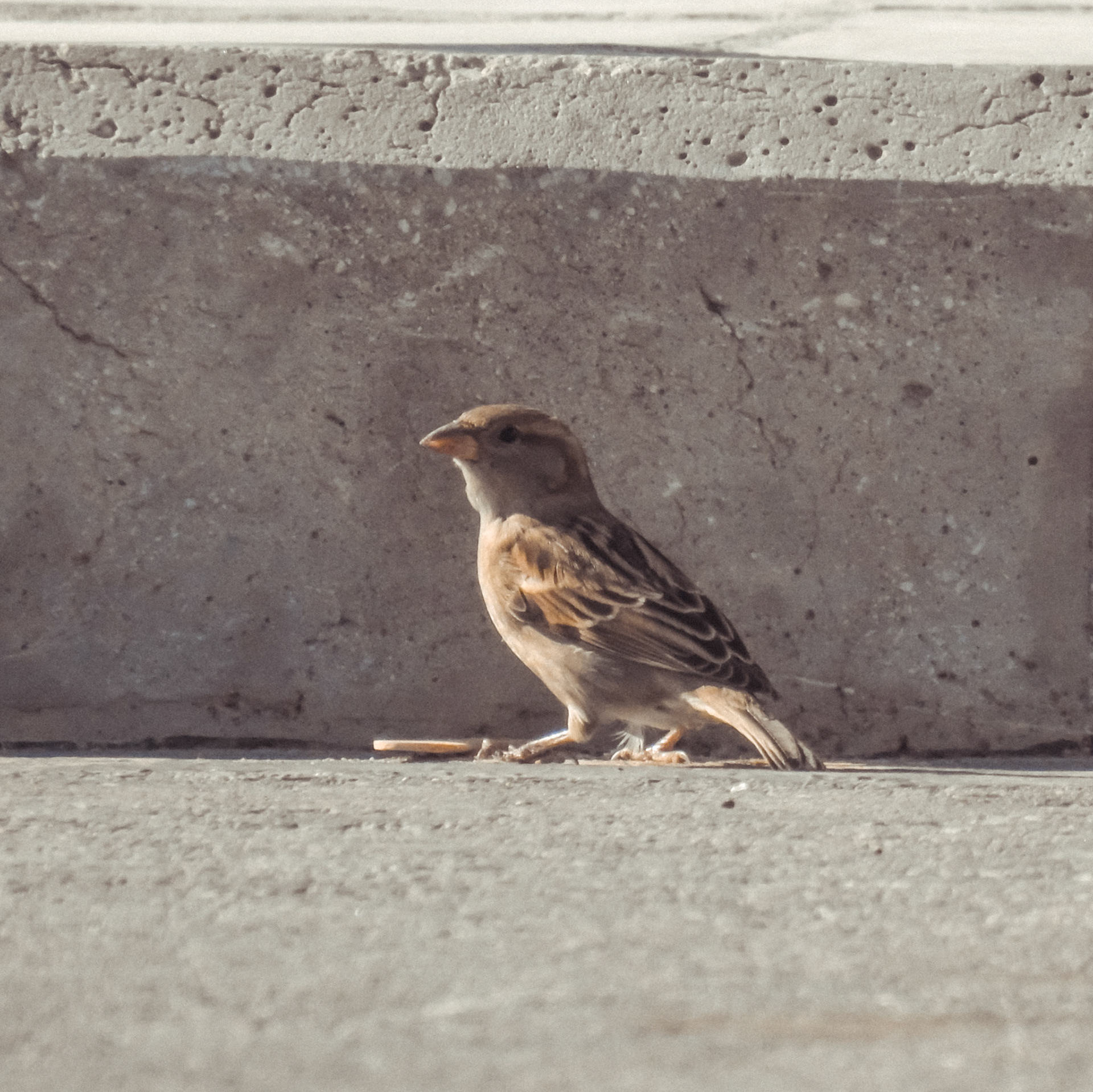 Taken with my Nikon Coolpix P900