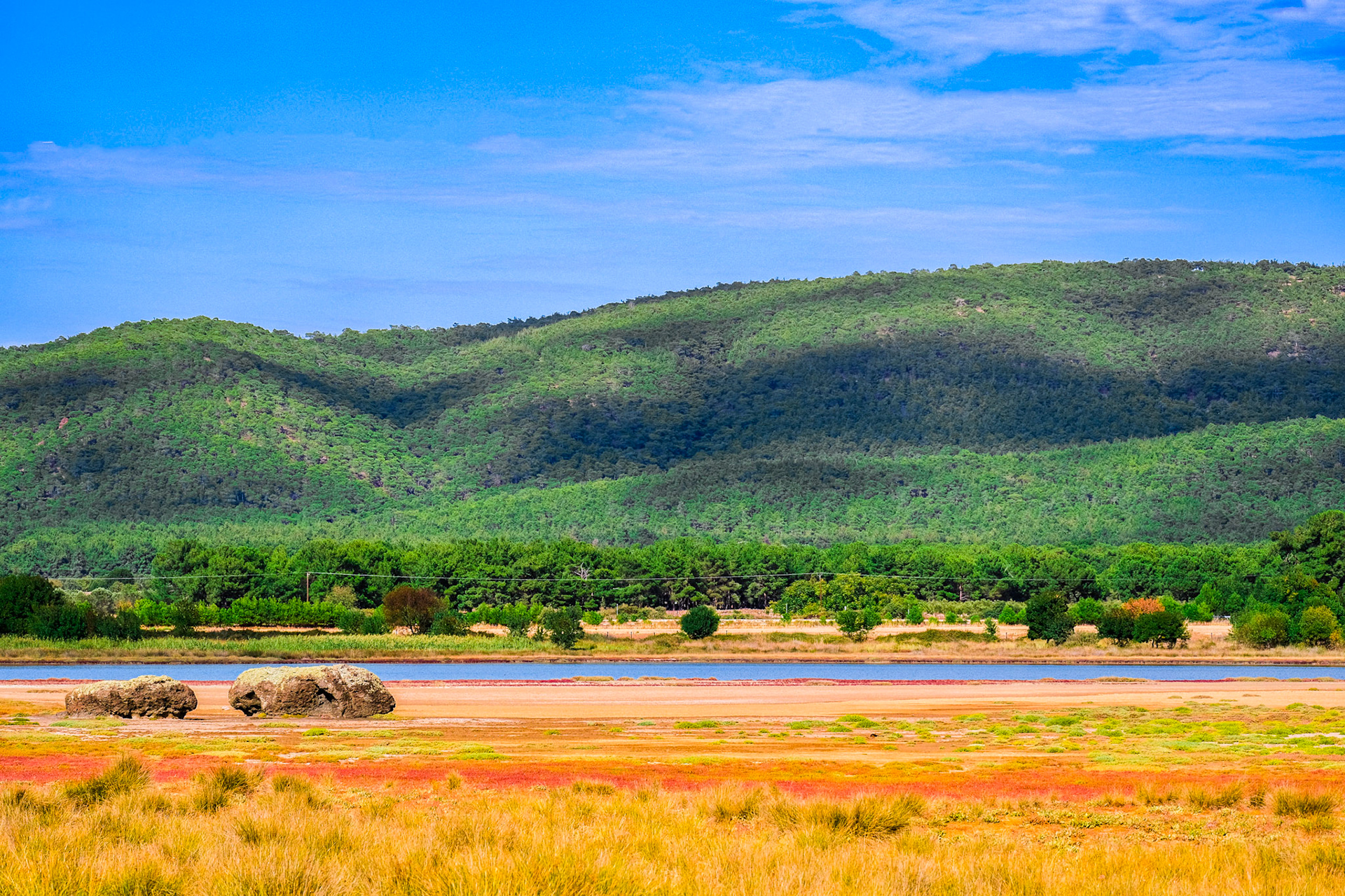 Taken with my Fujifilm X-T30 using the Fujinon XC 50-230mm F4.5-6.7 OIS II