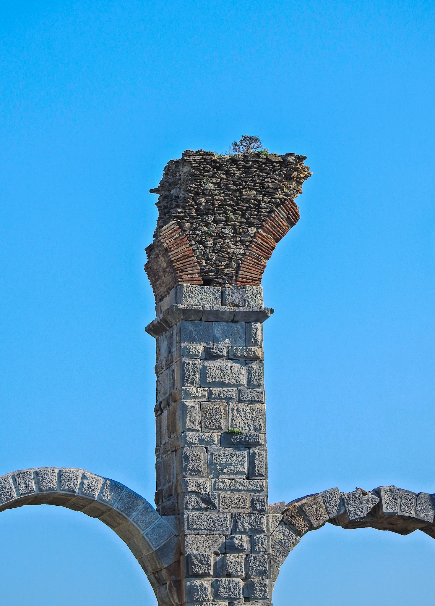 Taken with my Nikon Coolpix P900