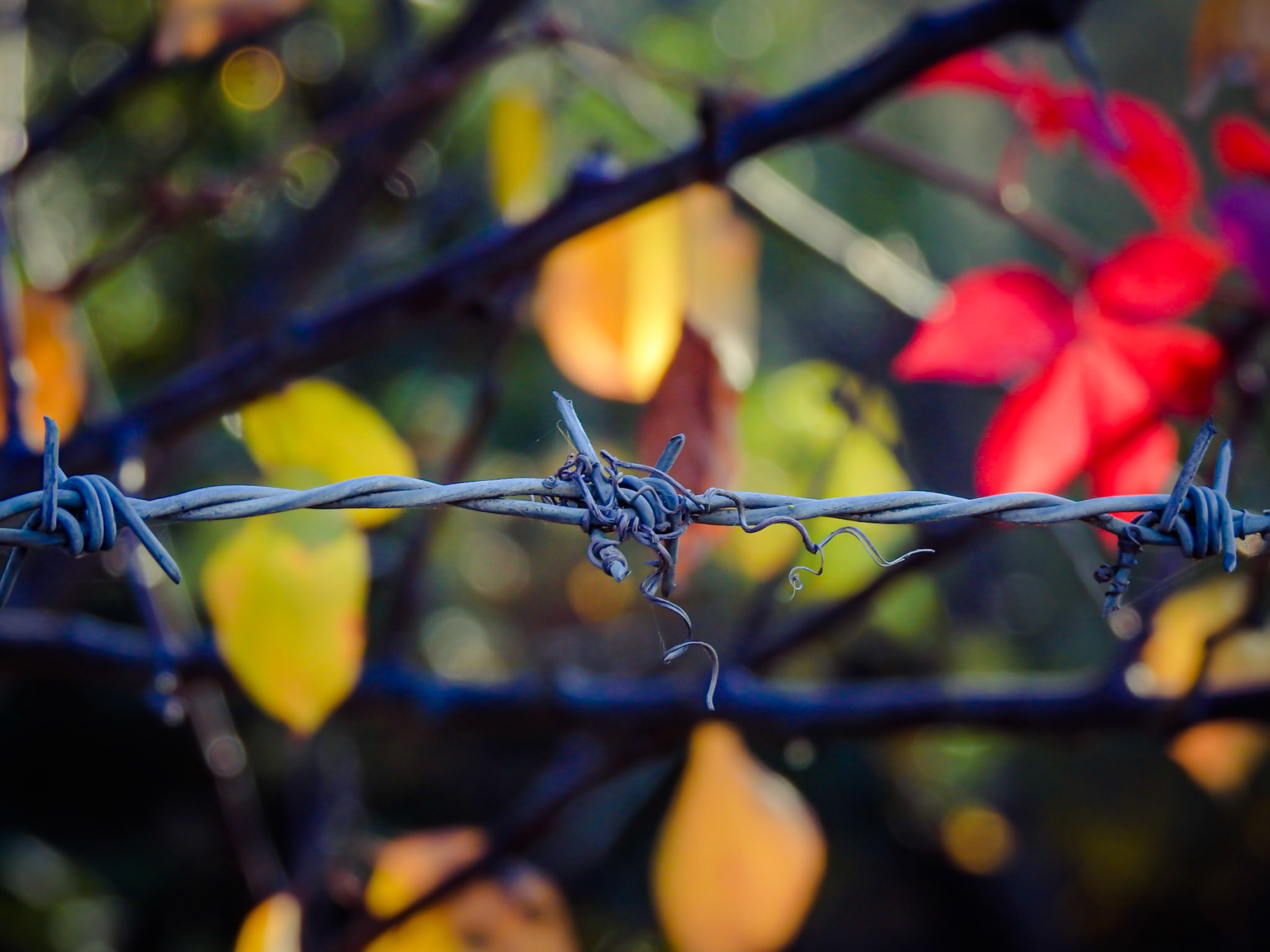 Taken with my Nikon Coolpix P900