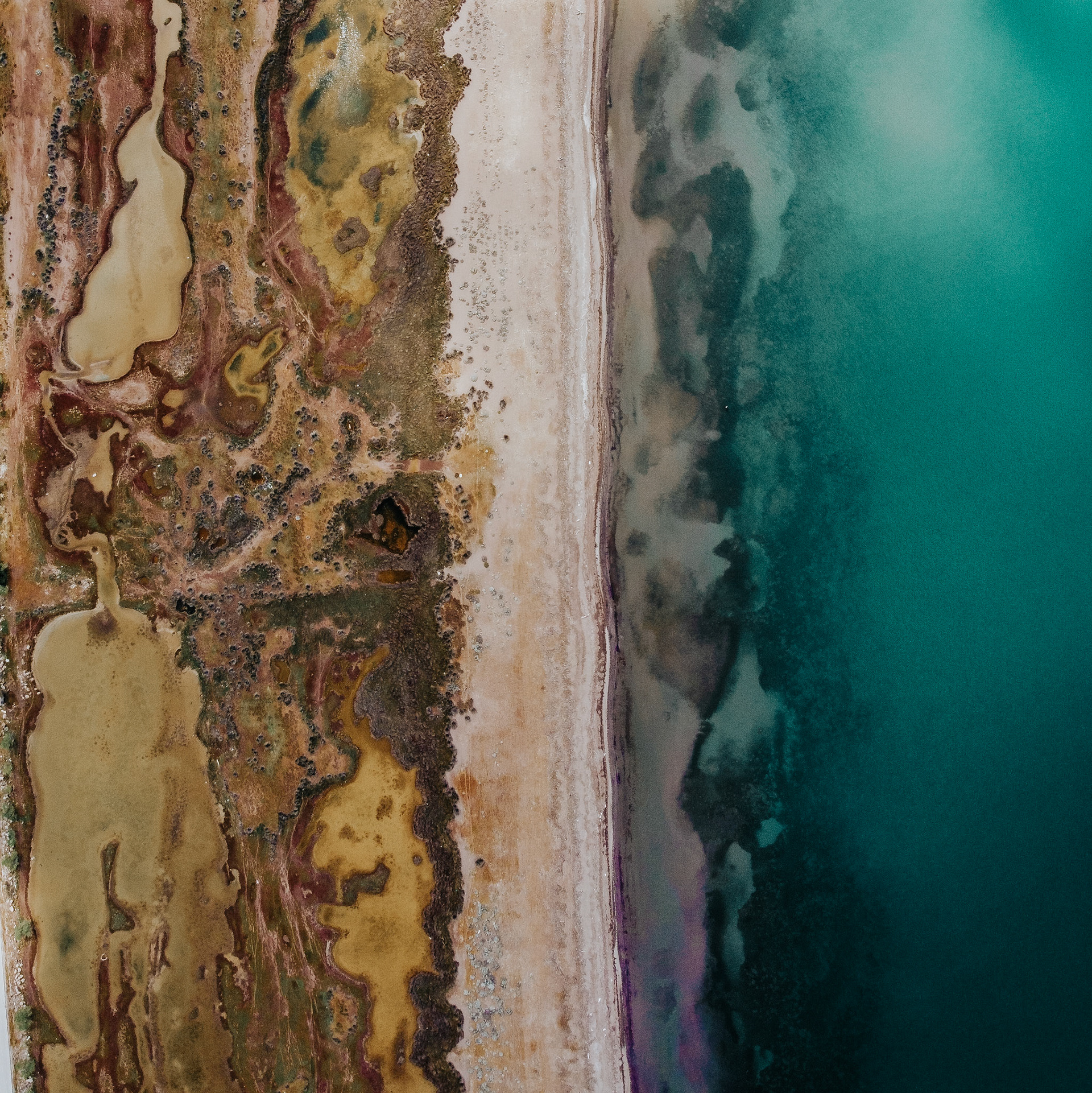 Taken with DJI Mavic Mini